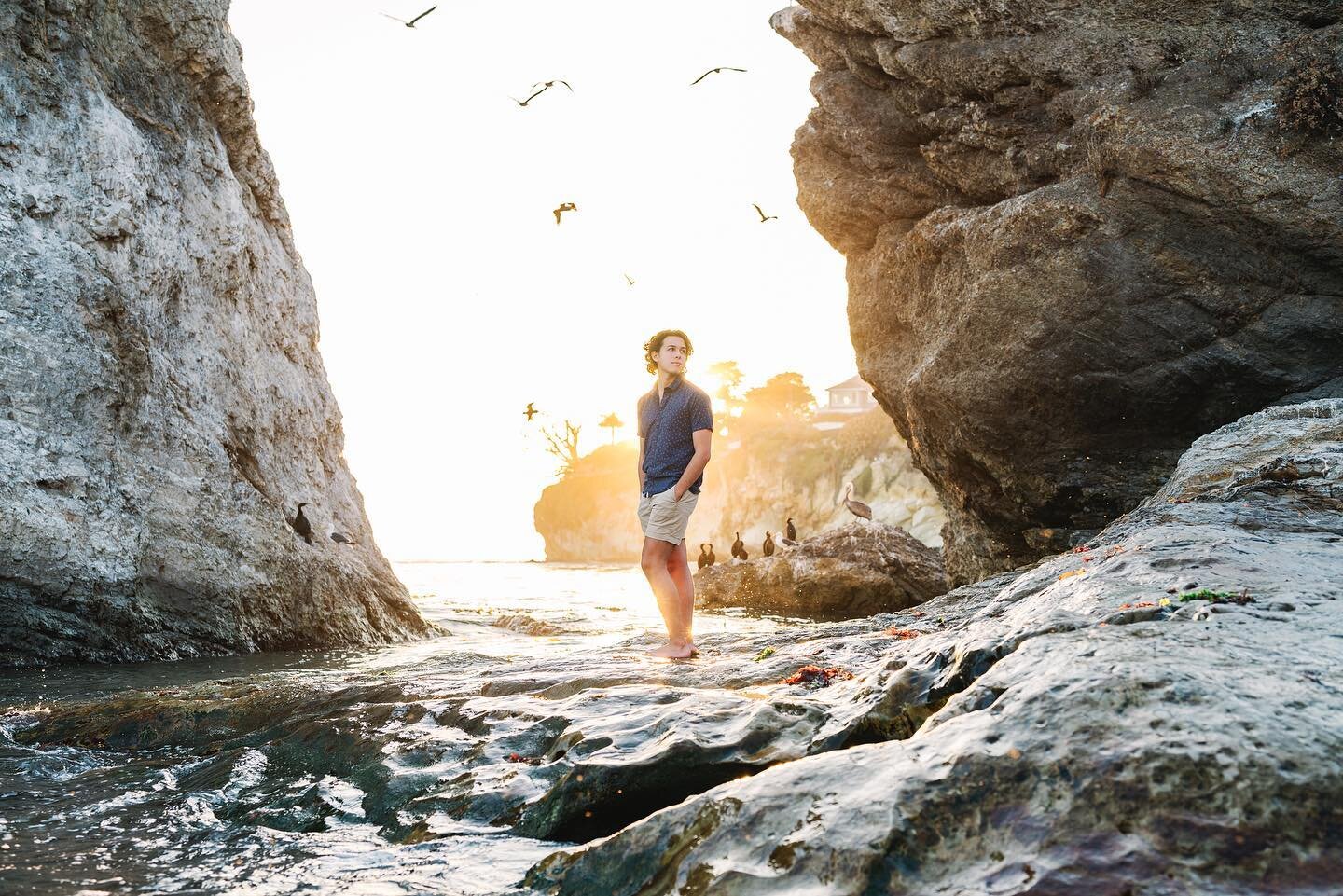 The pelicans were out in FULL force, but it made for one heck of a dramatic image- love it!! Throw in some gorgeous light, and a handsome (ridiculously talented) piano playing senior and we had ourselves an amazing session! 
.
.
.
.
.
.
.
.
.

#sanlu