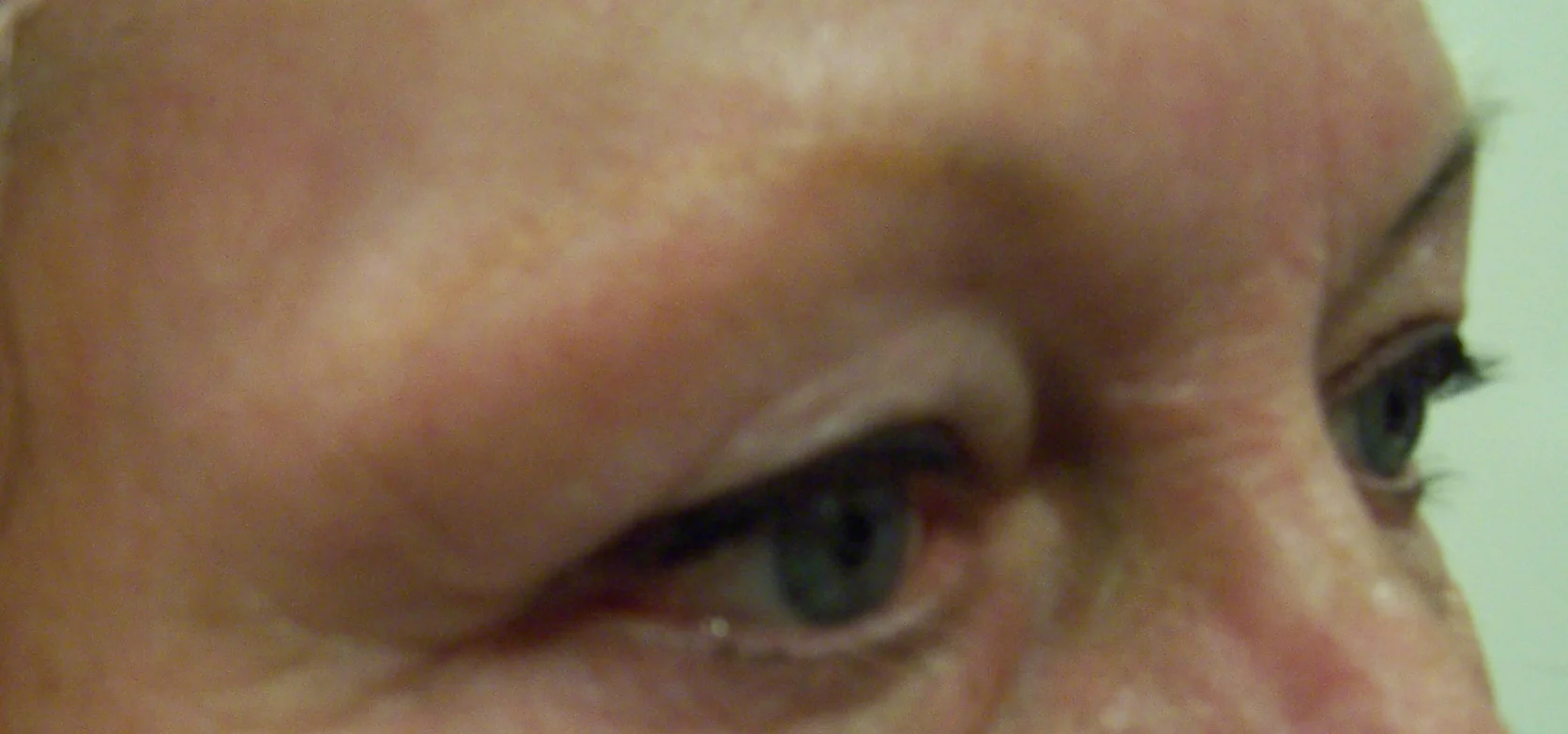brows 21.jpg