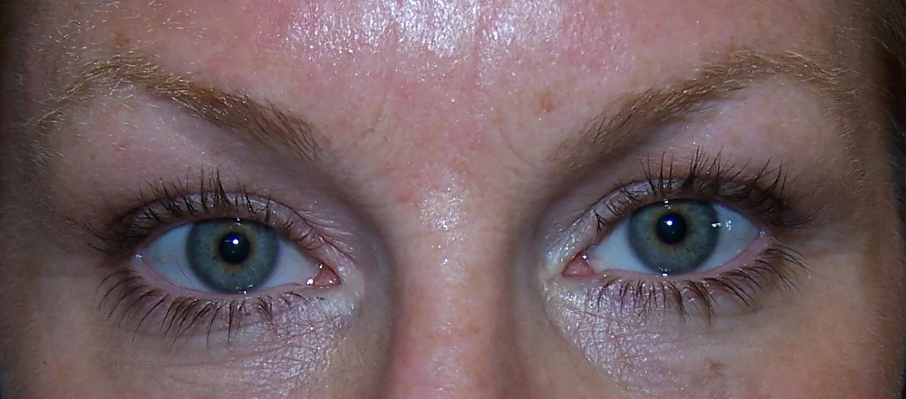 brows 27.jpg