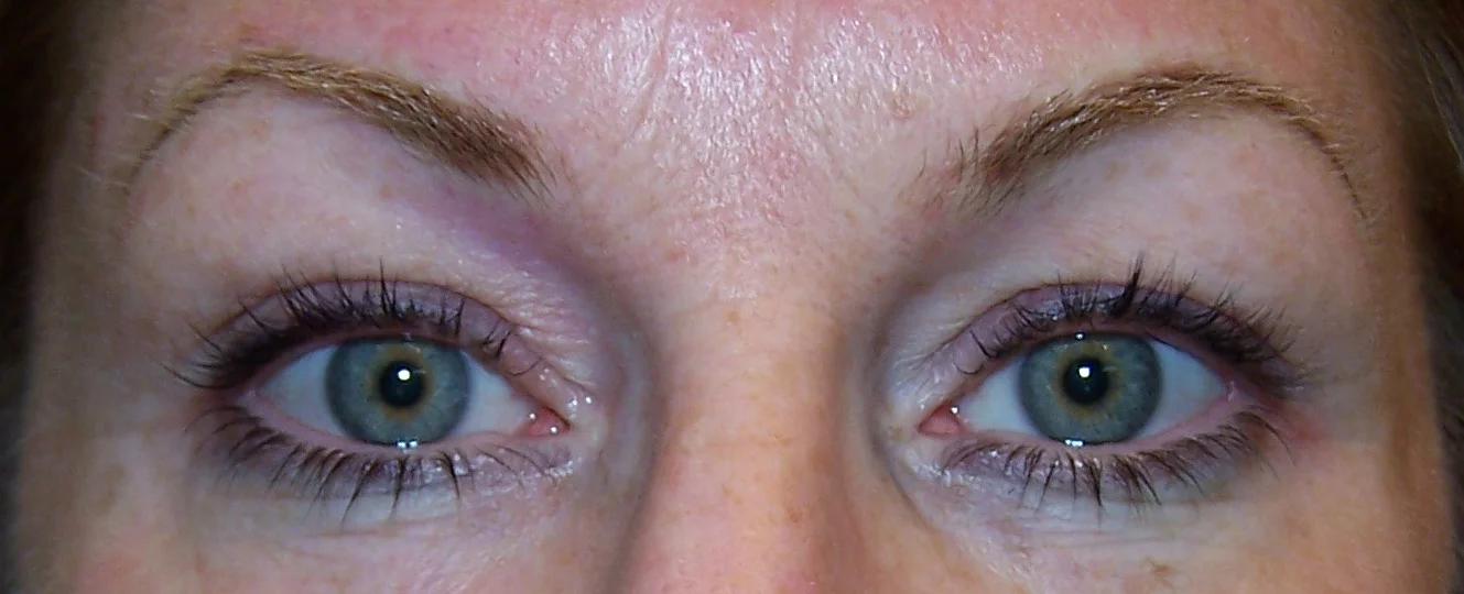 brows 28.jpg