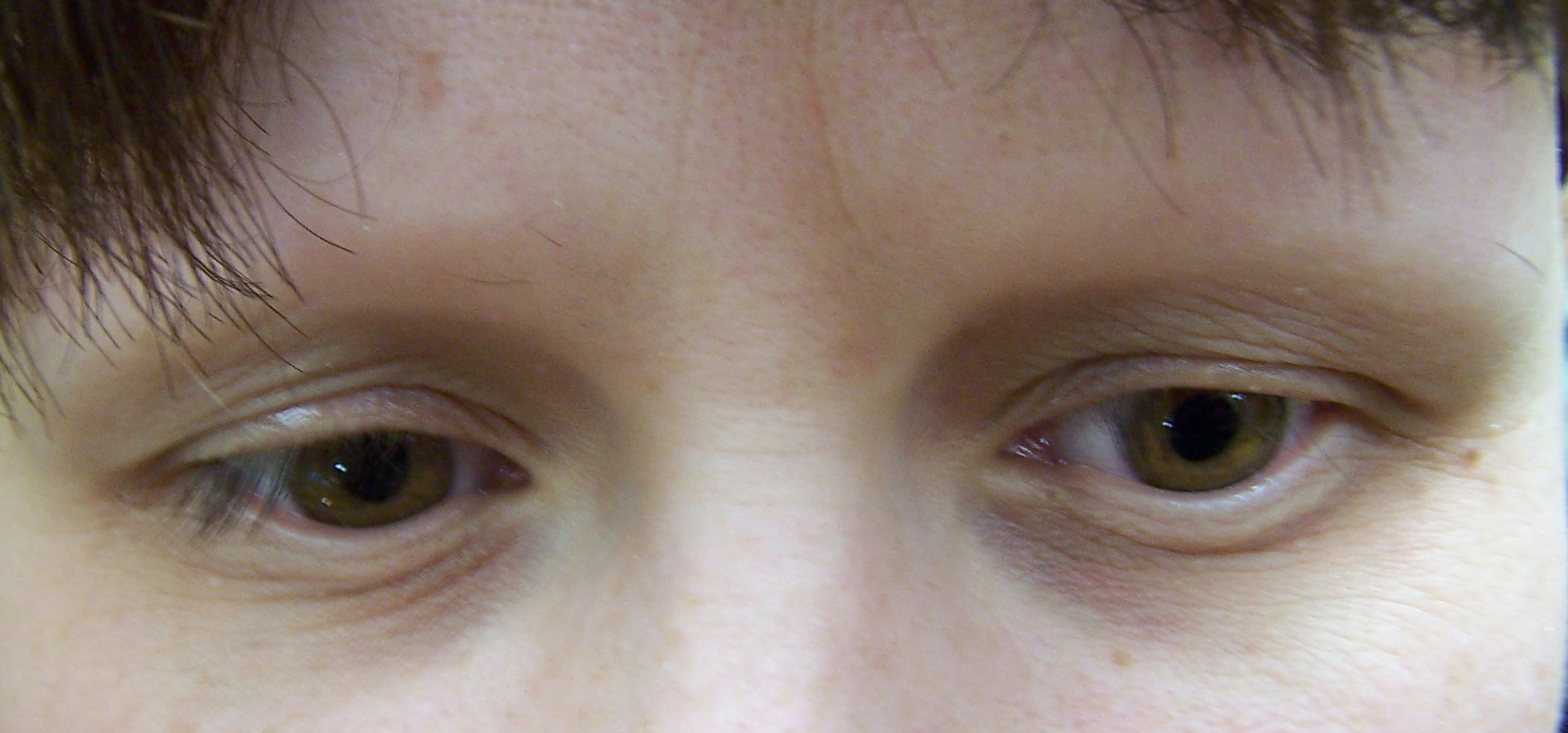brows 15.jpg