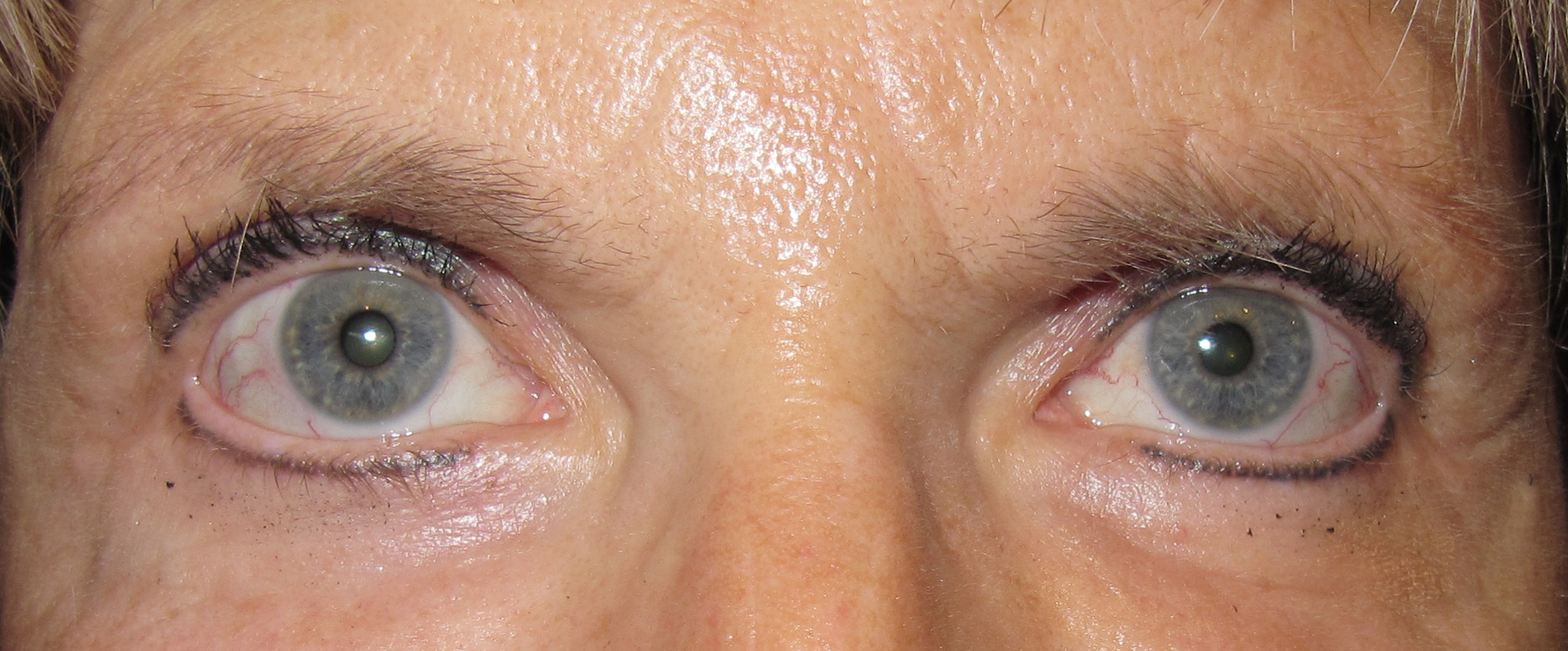 brows 37.jpg