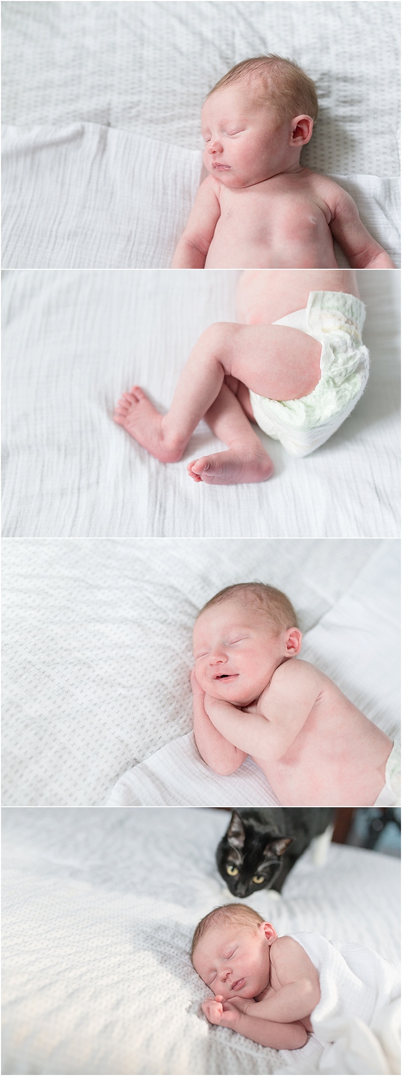 yeary newborn-1.jpg