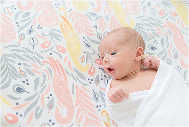 evangeline lifestyle newborn session-87.jpg