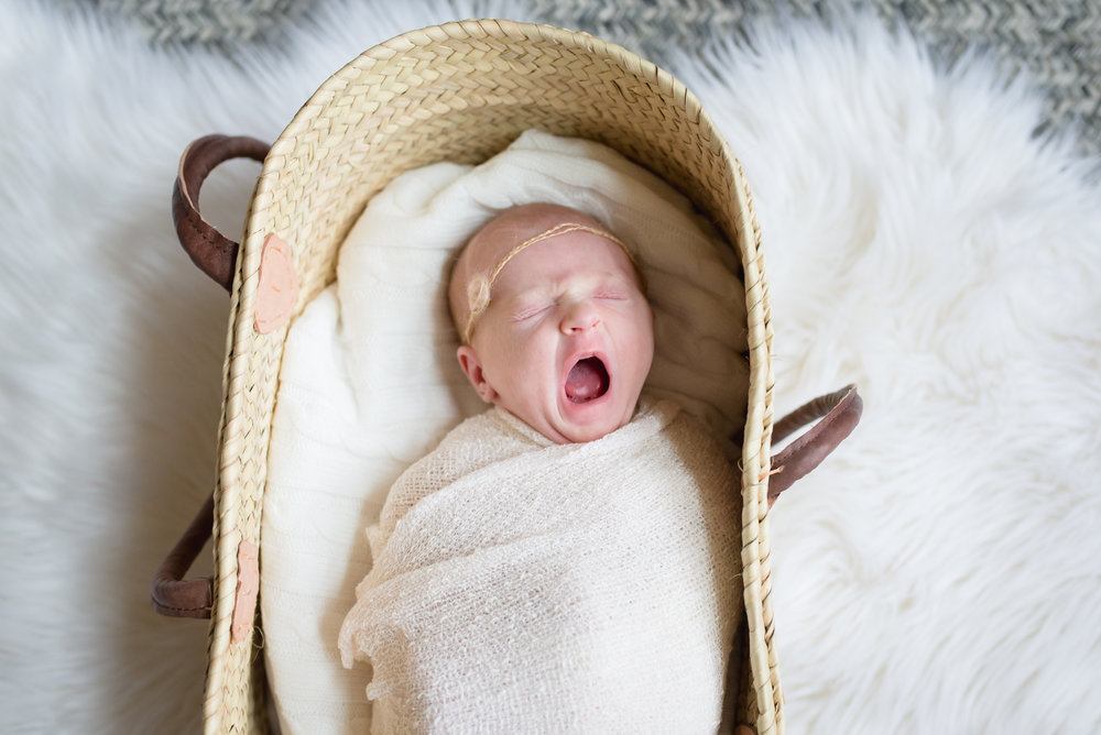 NOVA-newborn-photographer-baby-cora-24.jpg