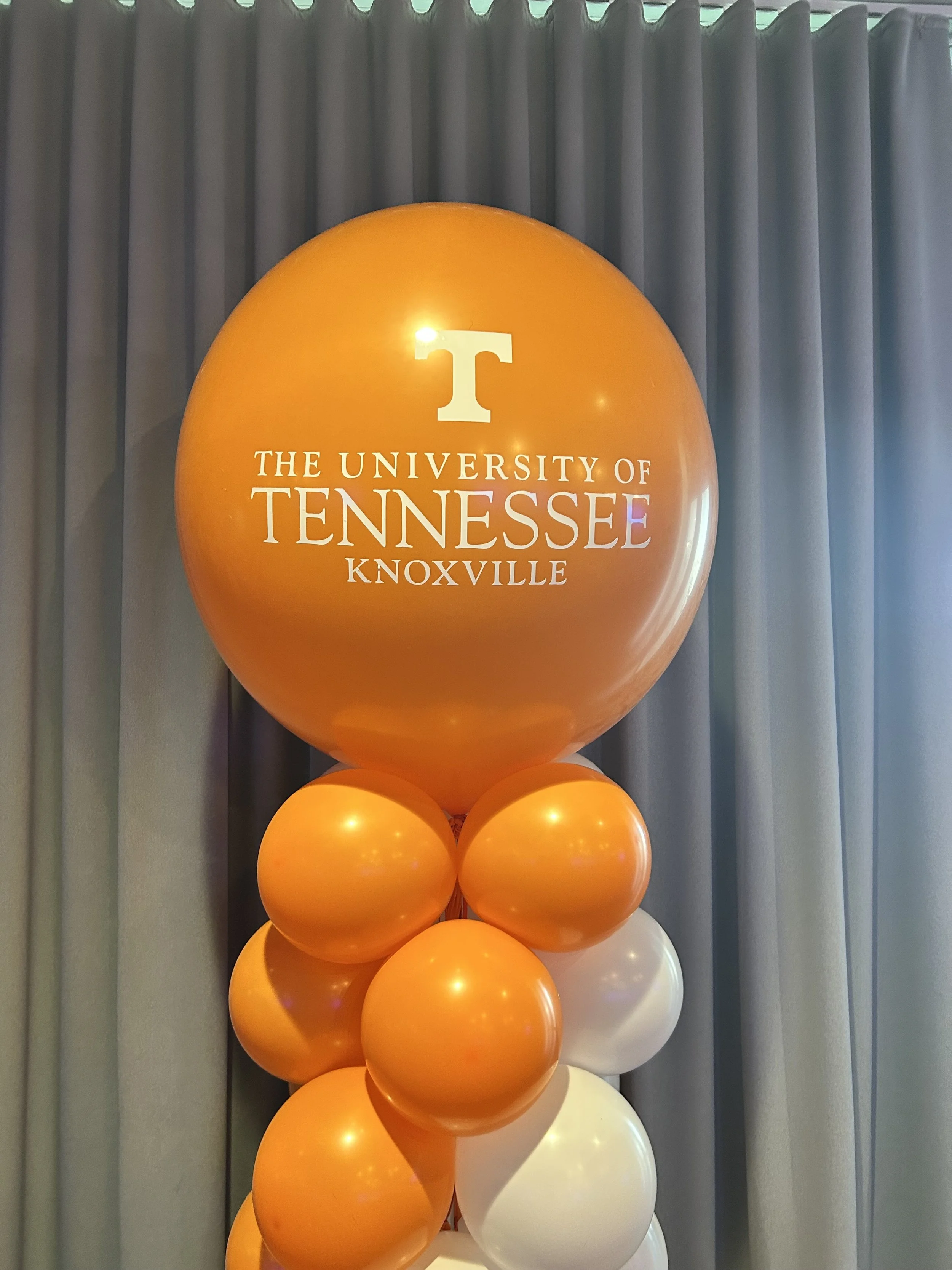 Tennessee Knoxville Column