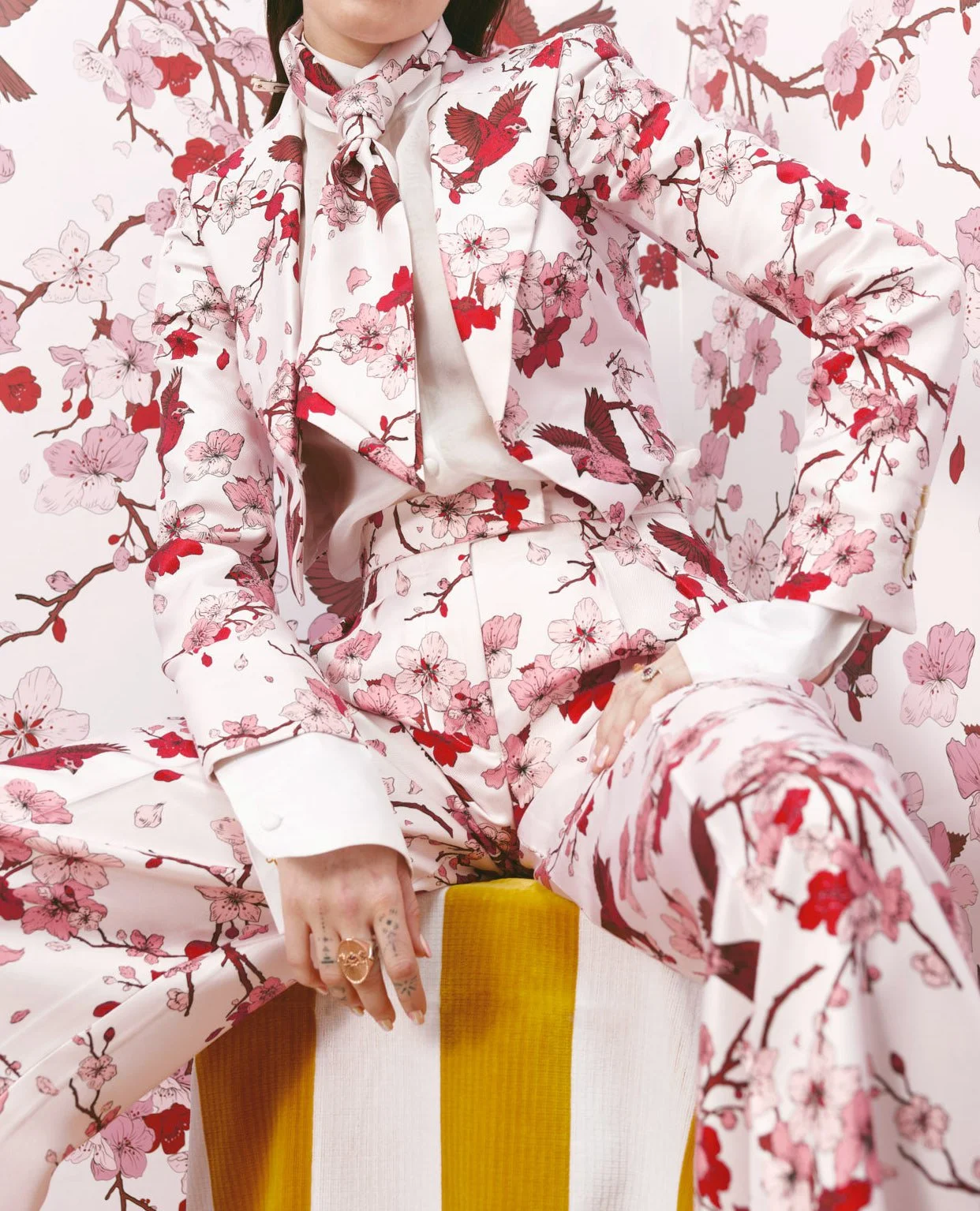 JK COllection SS23_180723251306 copy.jpg