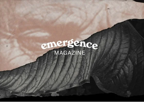 You can find Emergence at https://emergencemagazine.org/