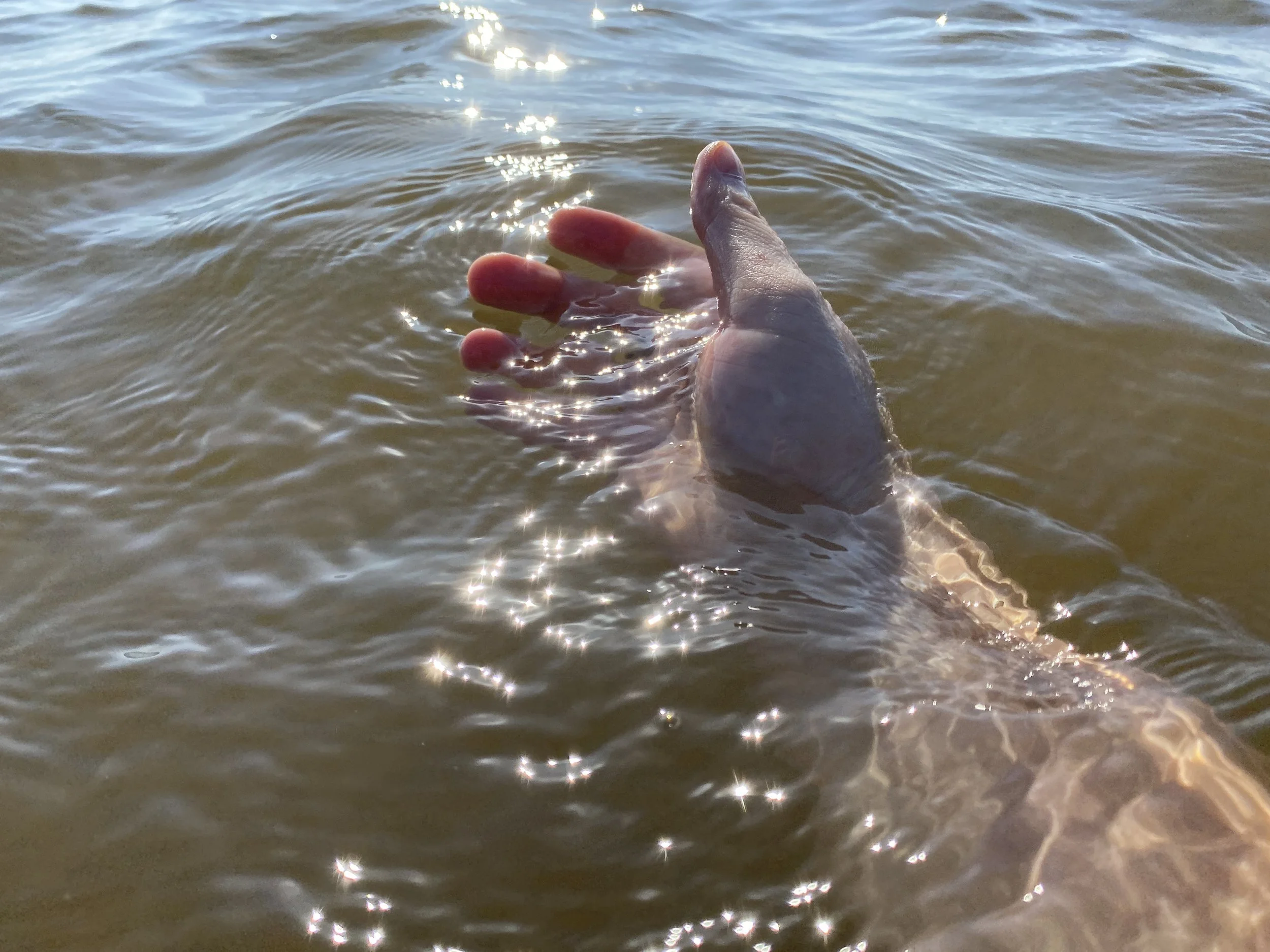 04ldd-waterdrumming.jpeg