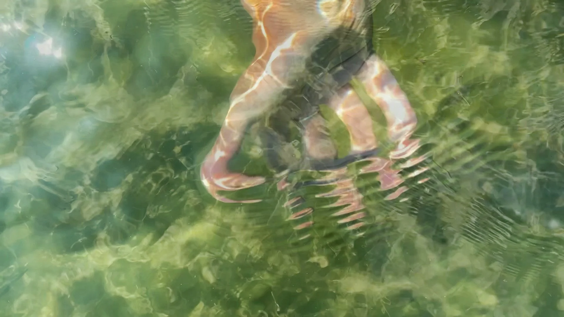 VideoStill2.jpg