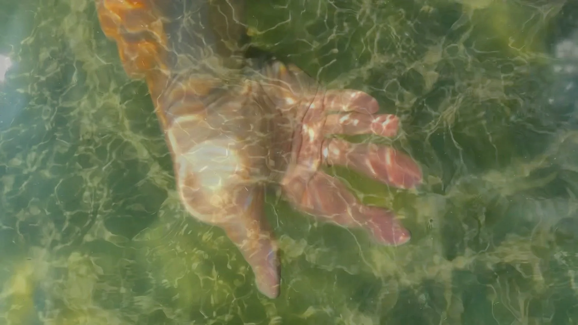 Hand Fish.jpg