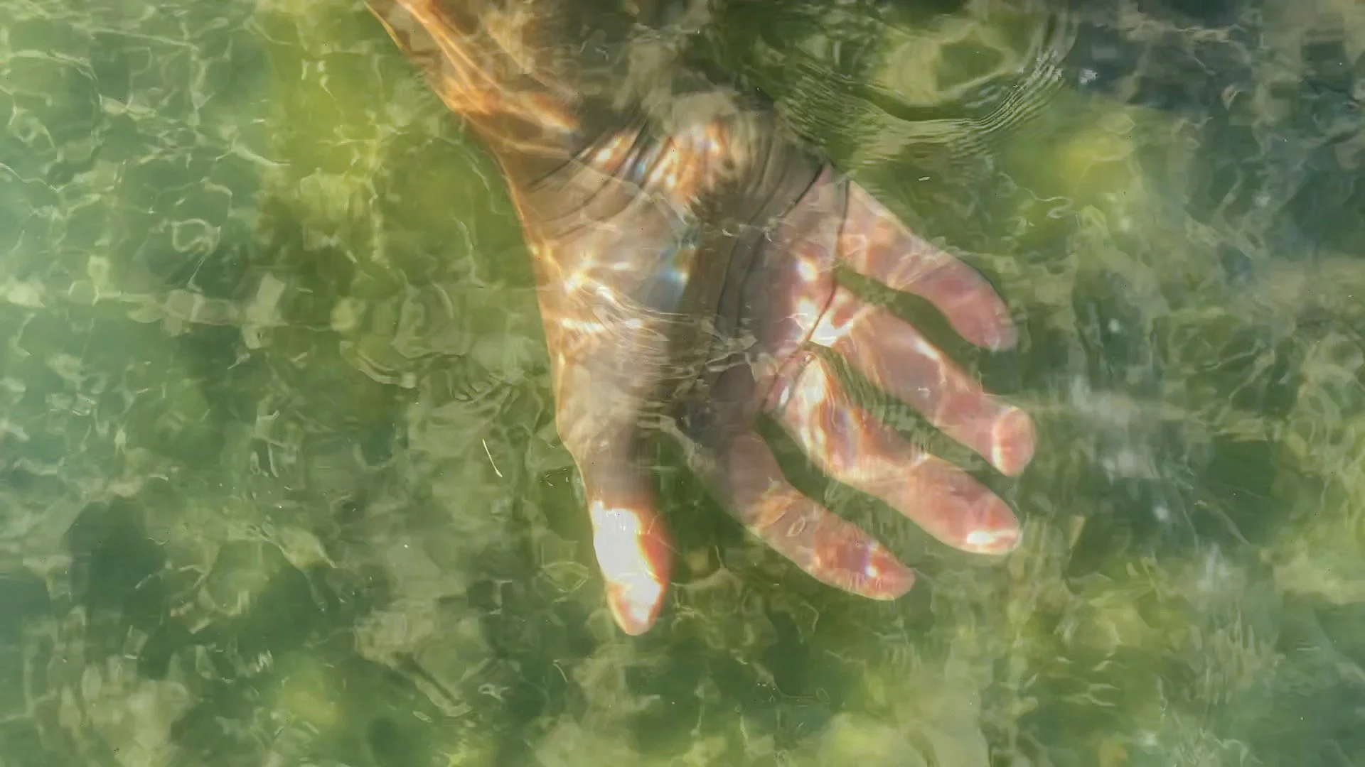 VideoStill.jpg
