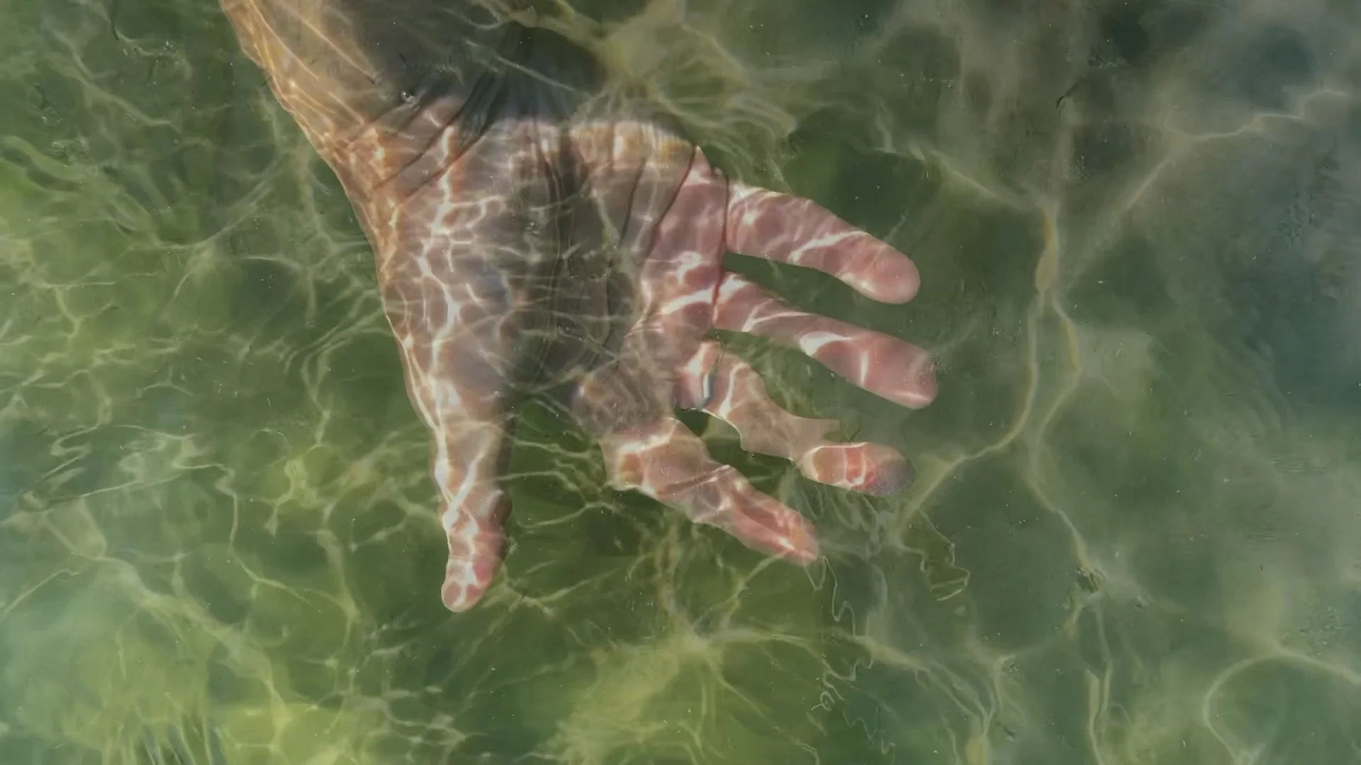 Hand Fish 4.jpg