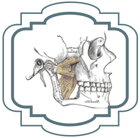 Tooth diagram
