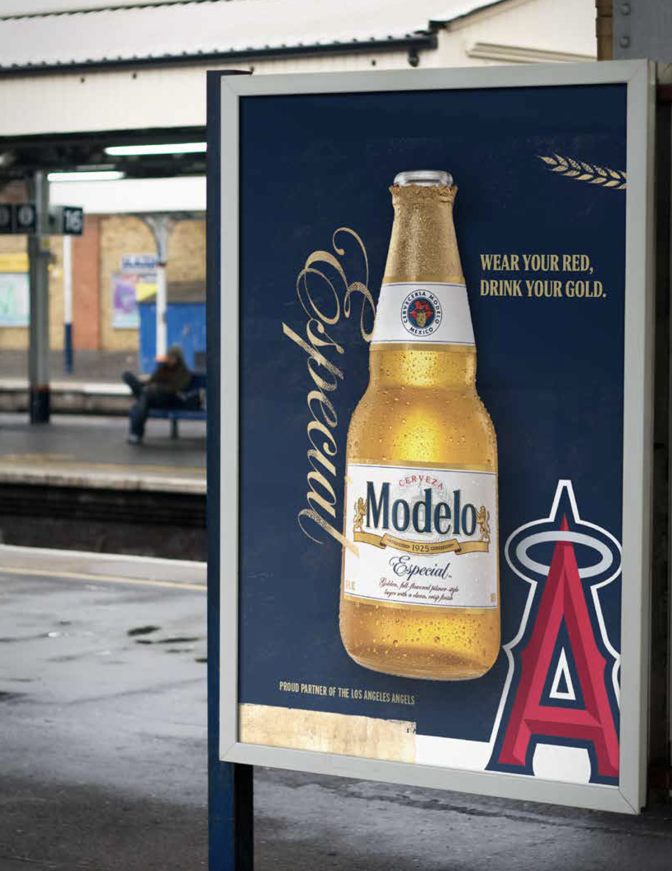 Screen Shot 2023-09-13 at 11.49.43 AM.png