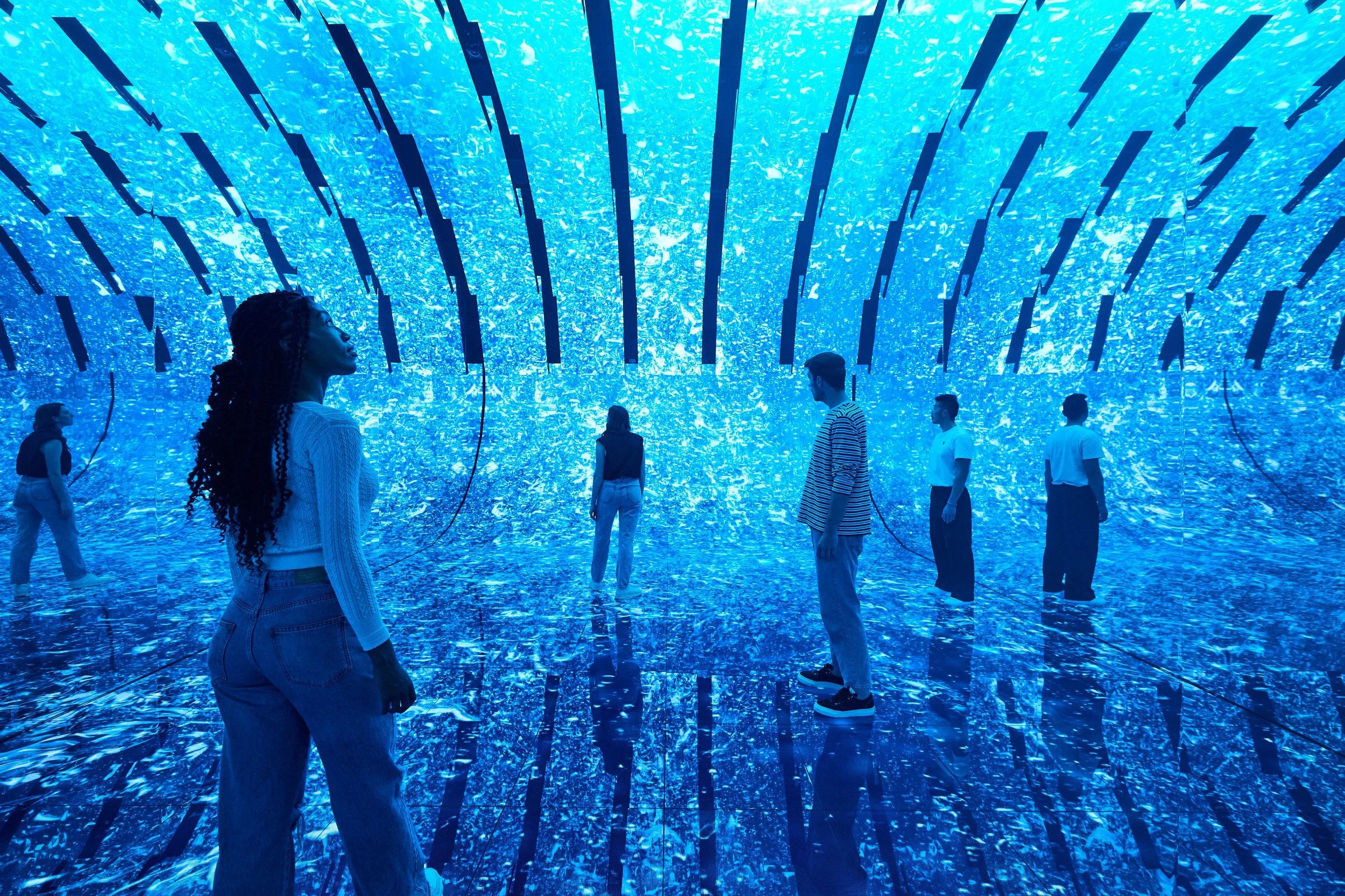 BlueParadox 9_210696.jpg