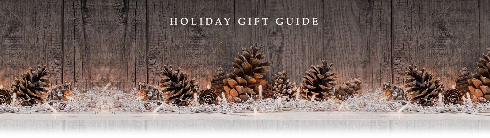 holiday gift guide header.jpg