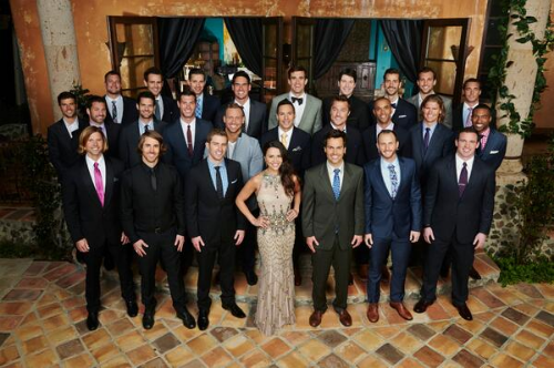 Andi Dorfman and her twenty-five suitors