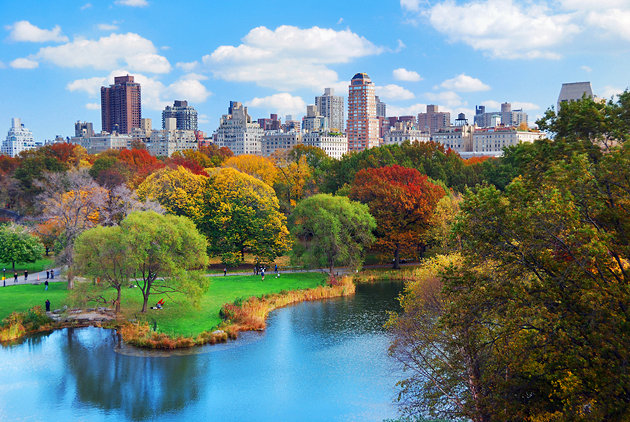 Central Park with NY Skyline