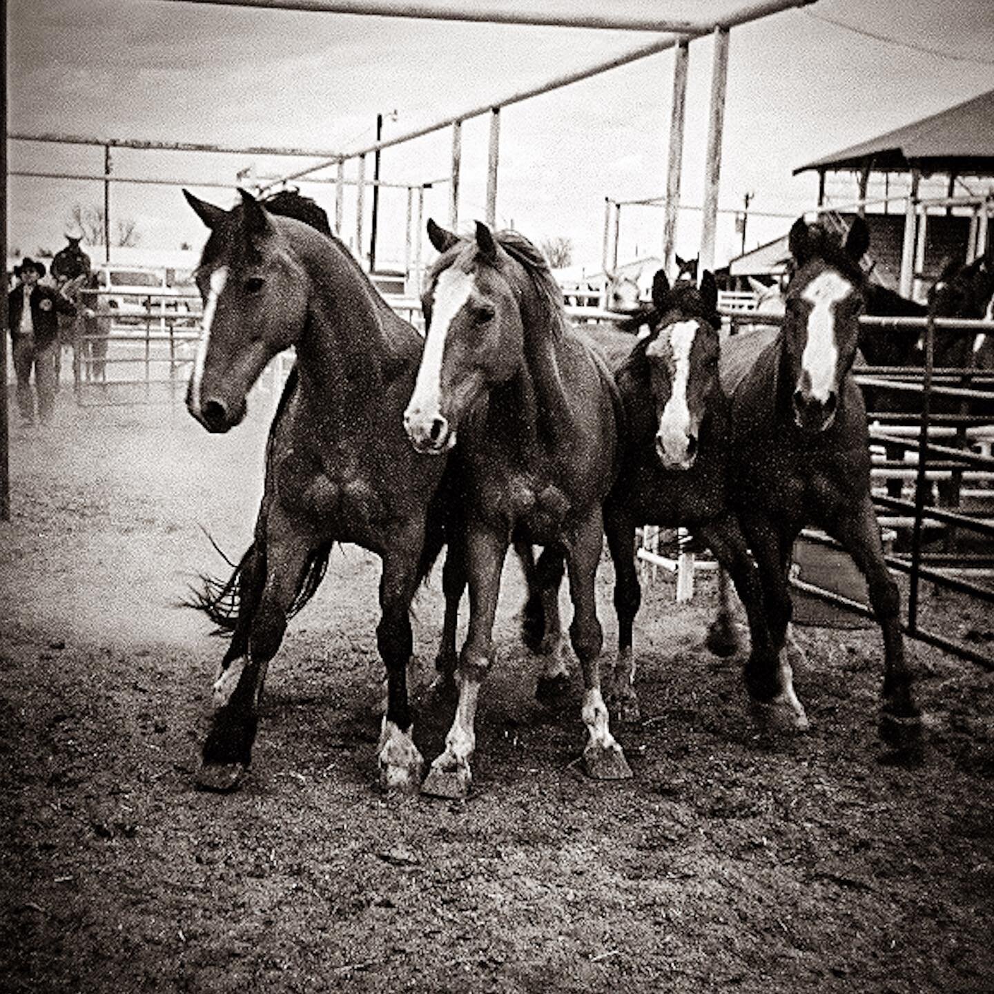 Lincoln County Fair's comin' up. Gonna head back there with my Holga again. #ontheroad #outwest #actualwest #highplainsdrifter #holga #toycamera