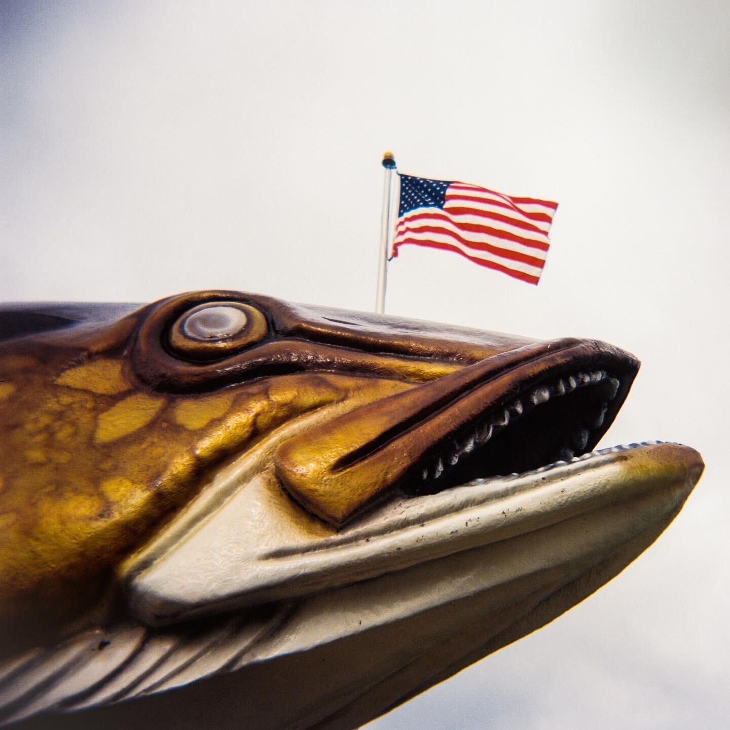 Happy 4th of July to my friends around the world who partake. And to those who don't, here's a photo of a fish statue.