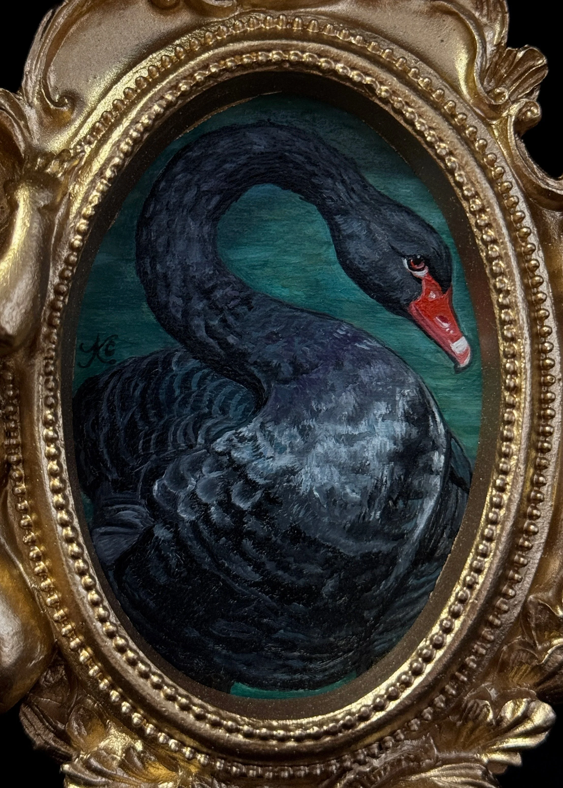 Black Swan 2.JPG