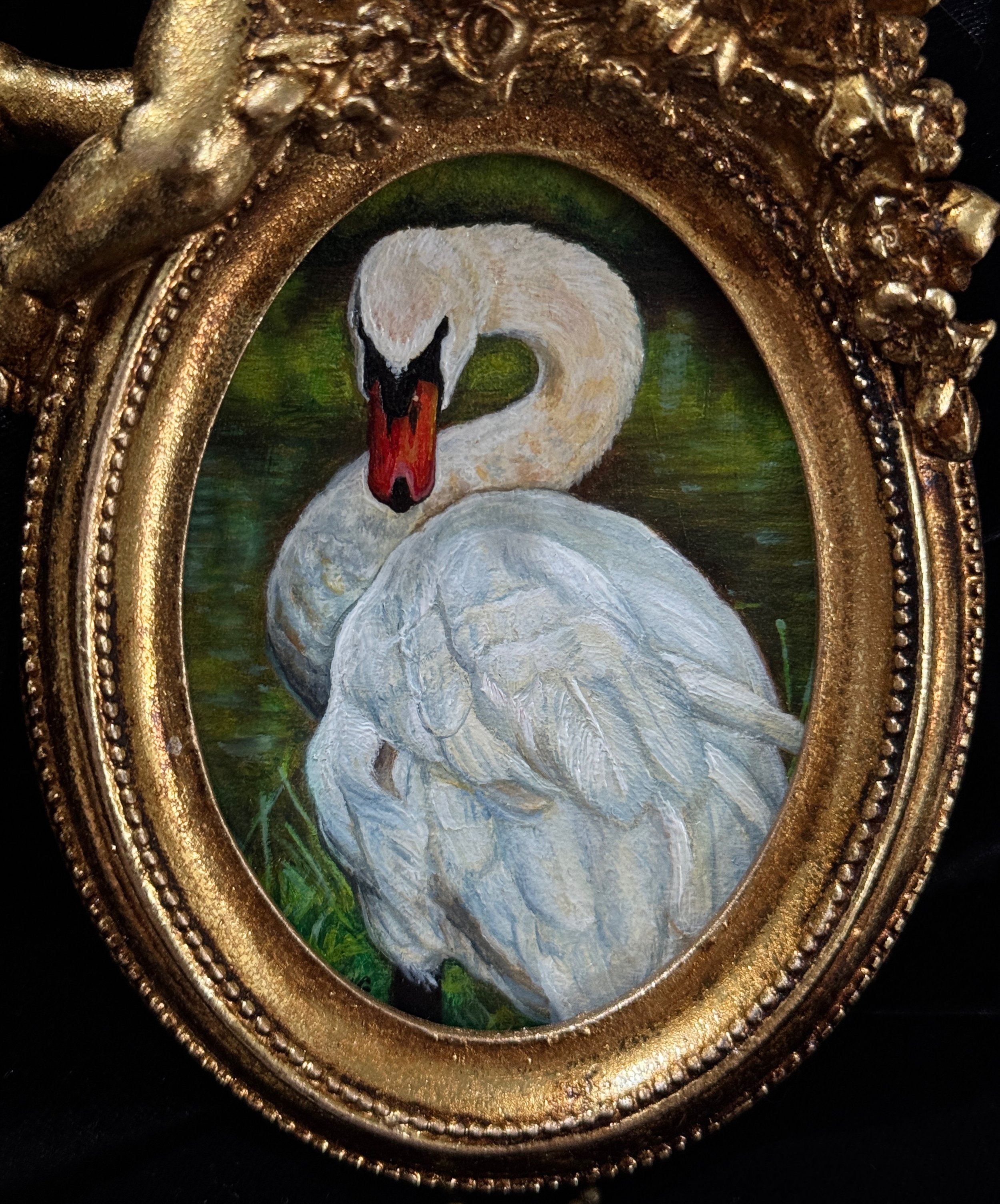 White Swan 3.JPG