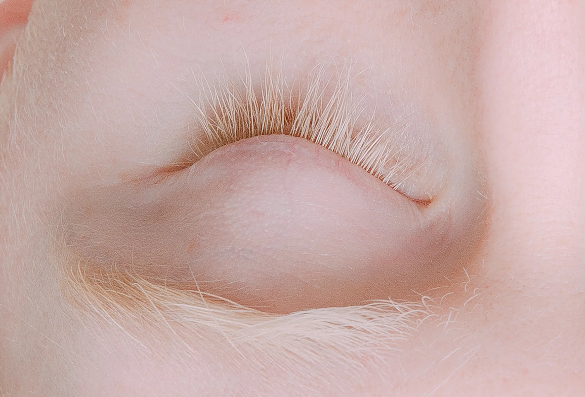 large-crop.jpg