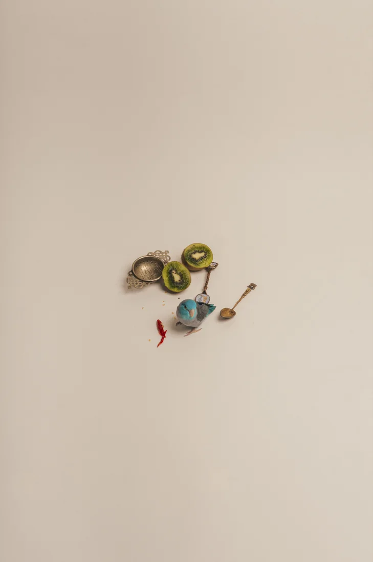 TOMATOES FAVOURITE THINGS 1A2 - 420 x 594 C-Type Matt Print £120A3 - 297 x 420 C-Type Matt Print £100