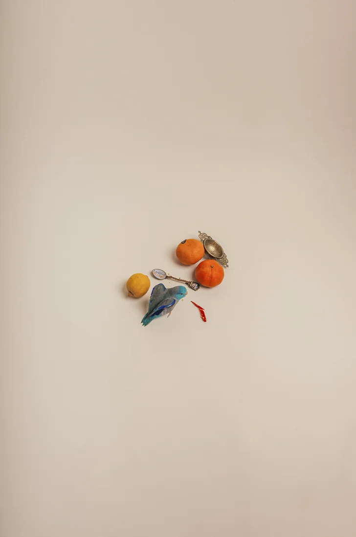 TOMATOES FAVOURITE THINGS 2A2 - 420 x 594 C-Type Matt Print £120A3 - 297 x 420 C-Type Matt Print £100