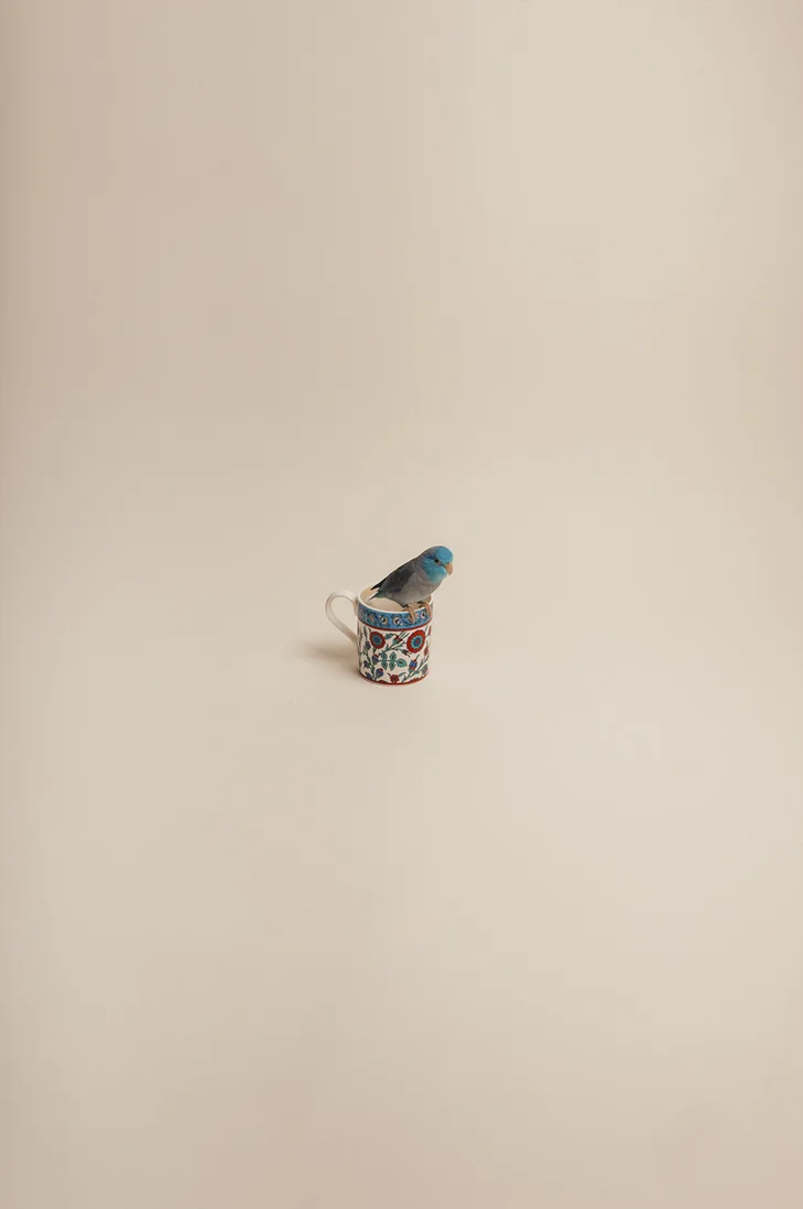 TOMATOES FAVOURITE THINGS 3A2 - 420 x 594 C-Type Matt Print £120A3 - 297 x 420 C-Type Matt Print £100