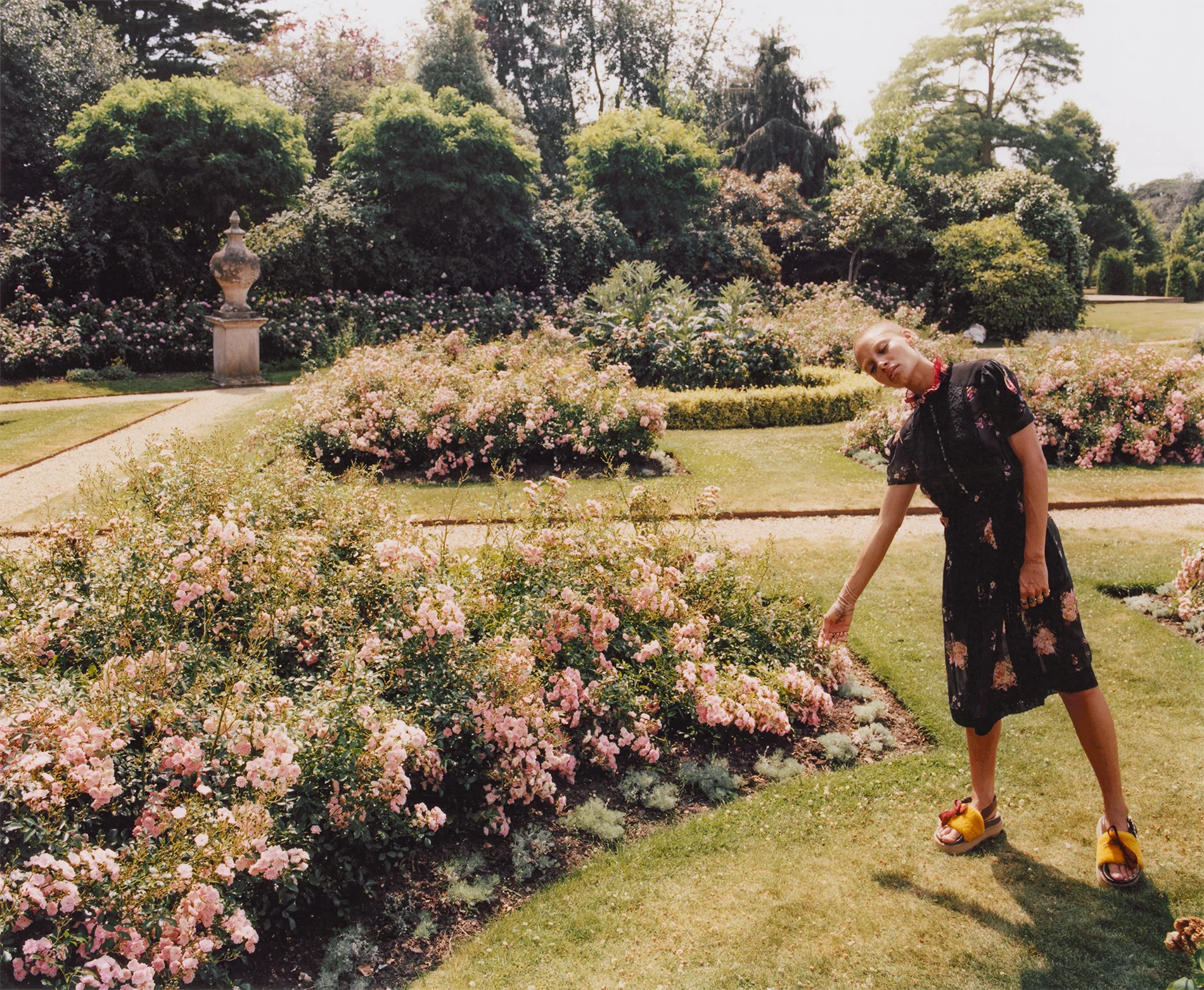scan006.jpg