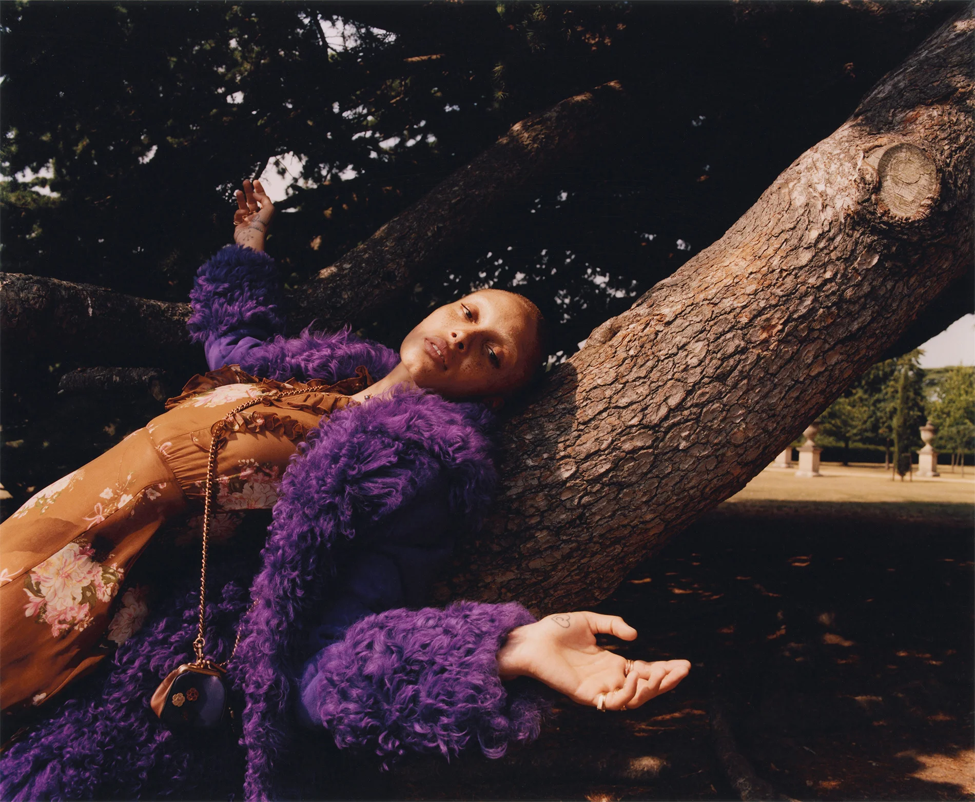 scan010.jpg