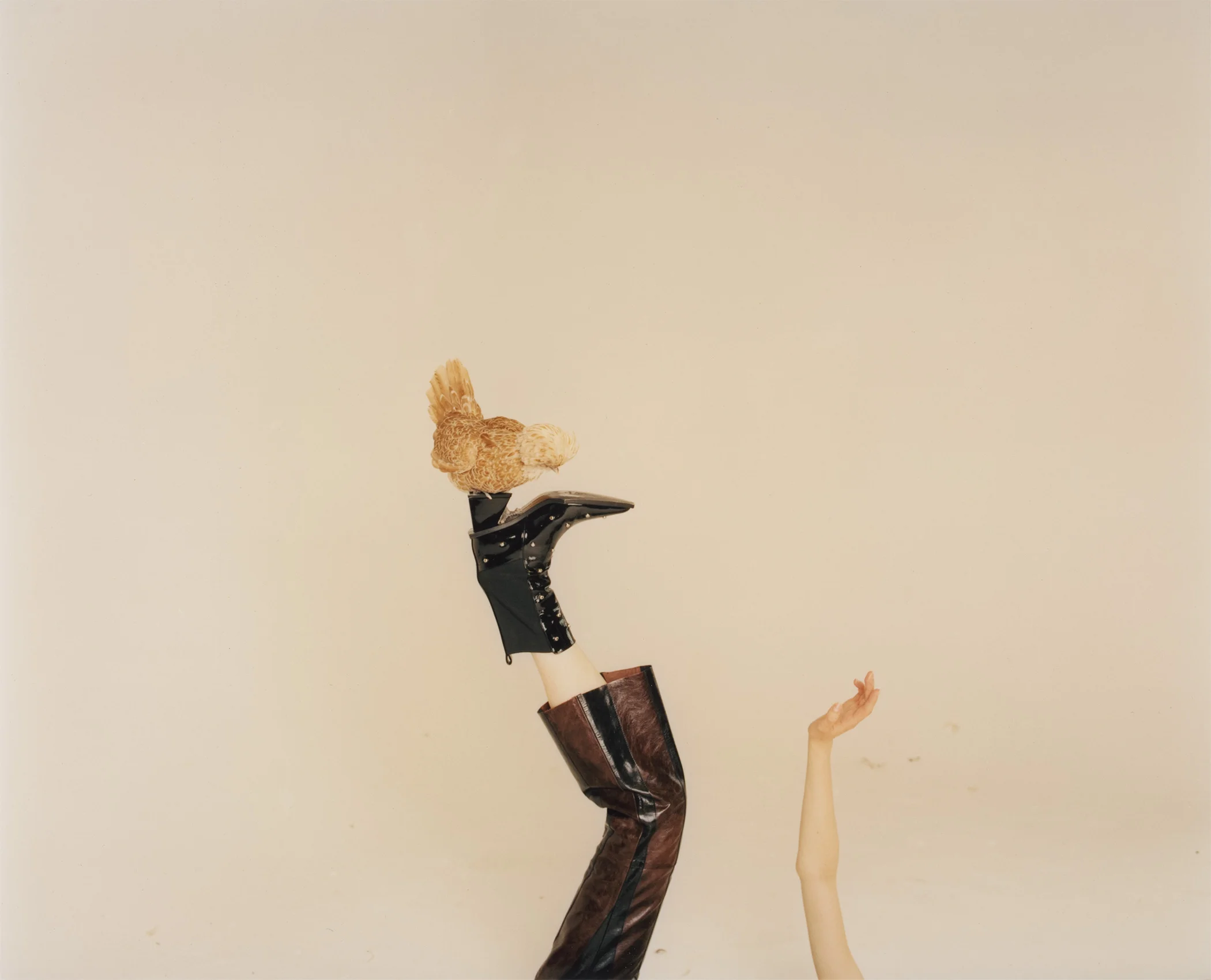 Scan1-4.jpg