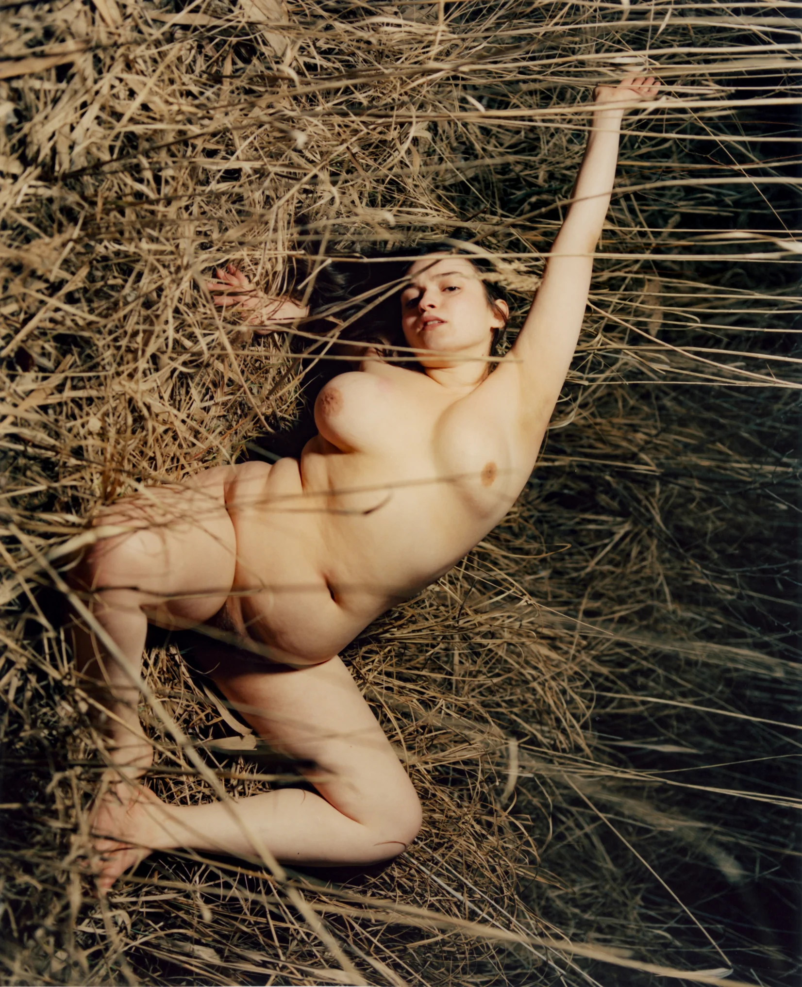 Untitled-(3)-copy.jpg