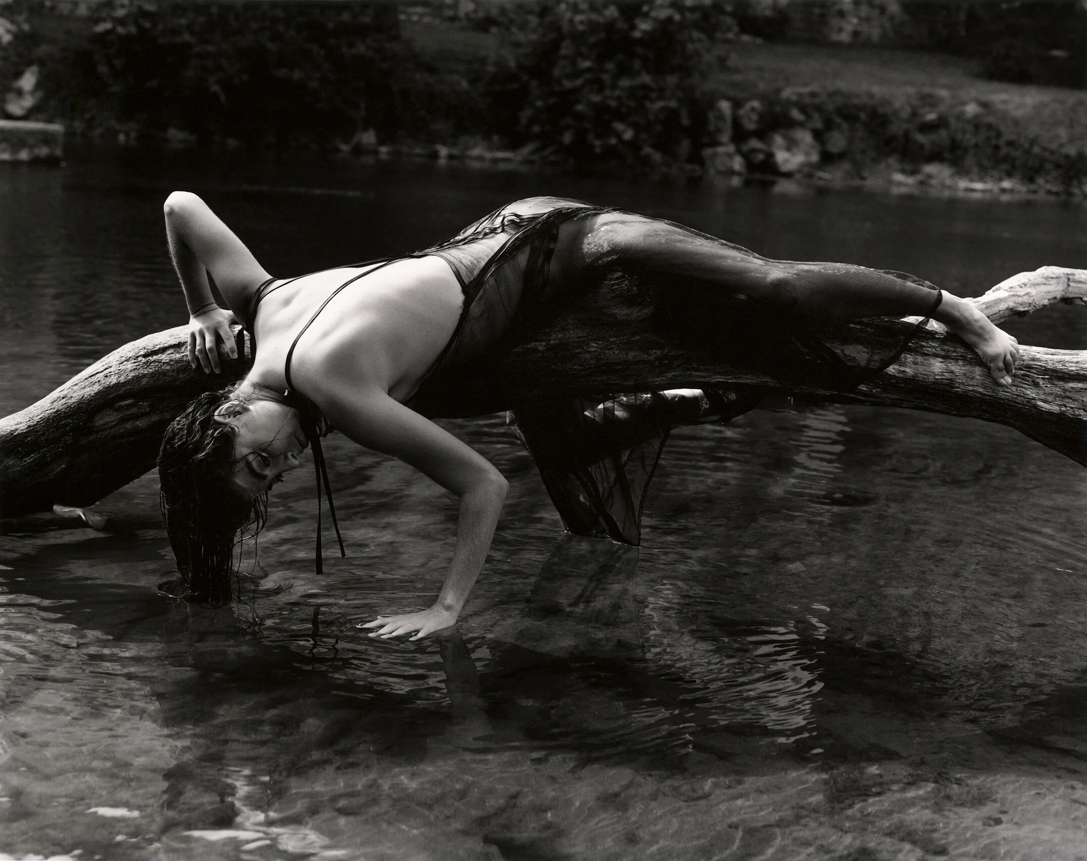 Untitled-(2).jpg