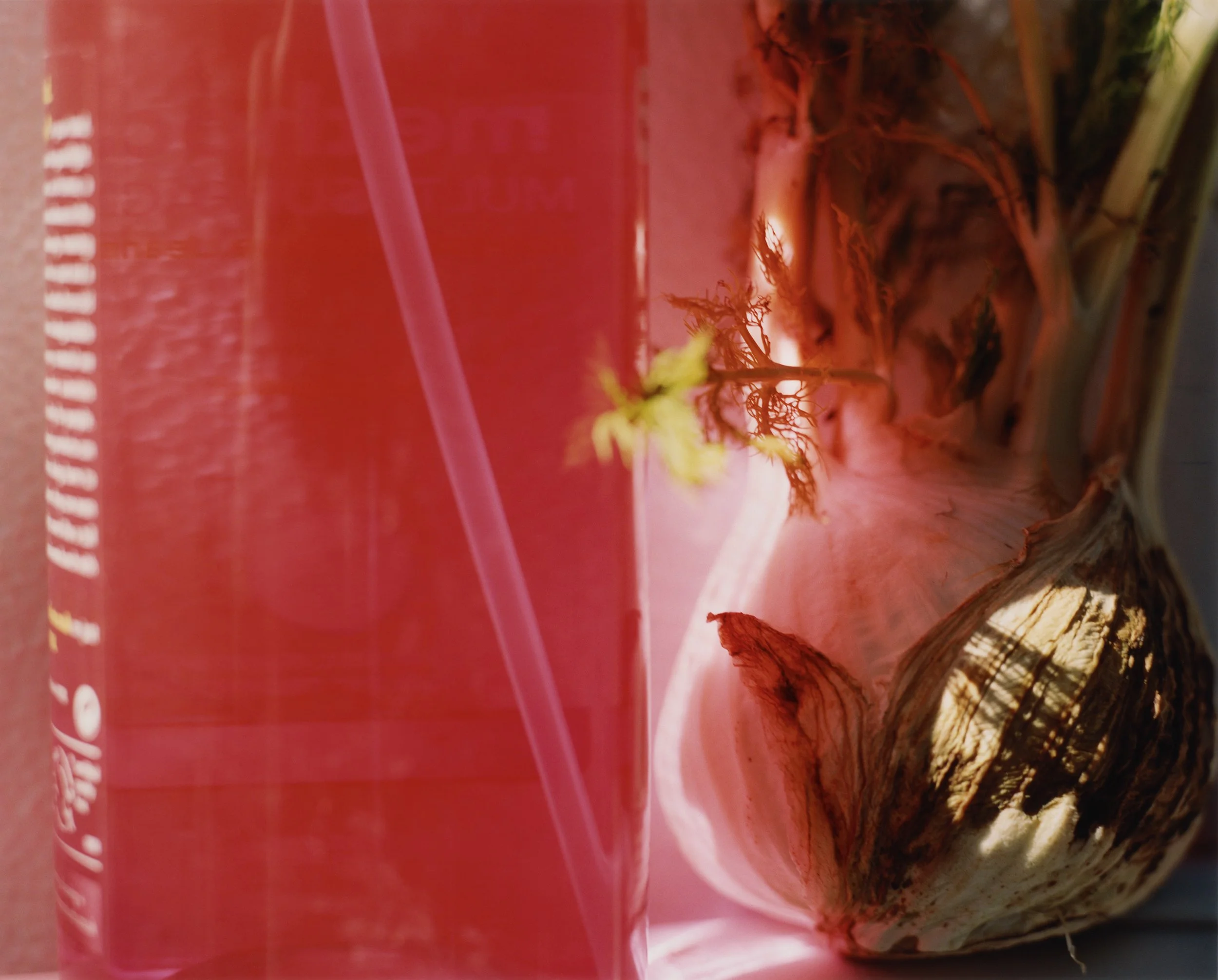 S.W_Self.Portraits_02.jpg