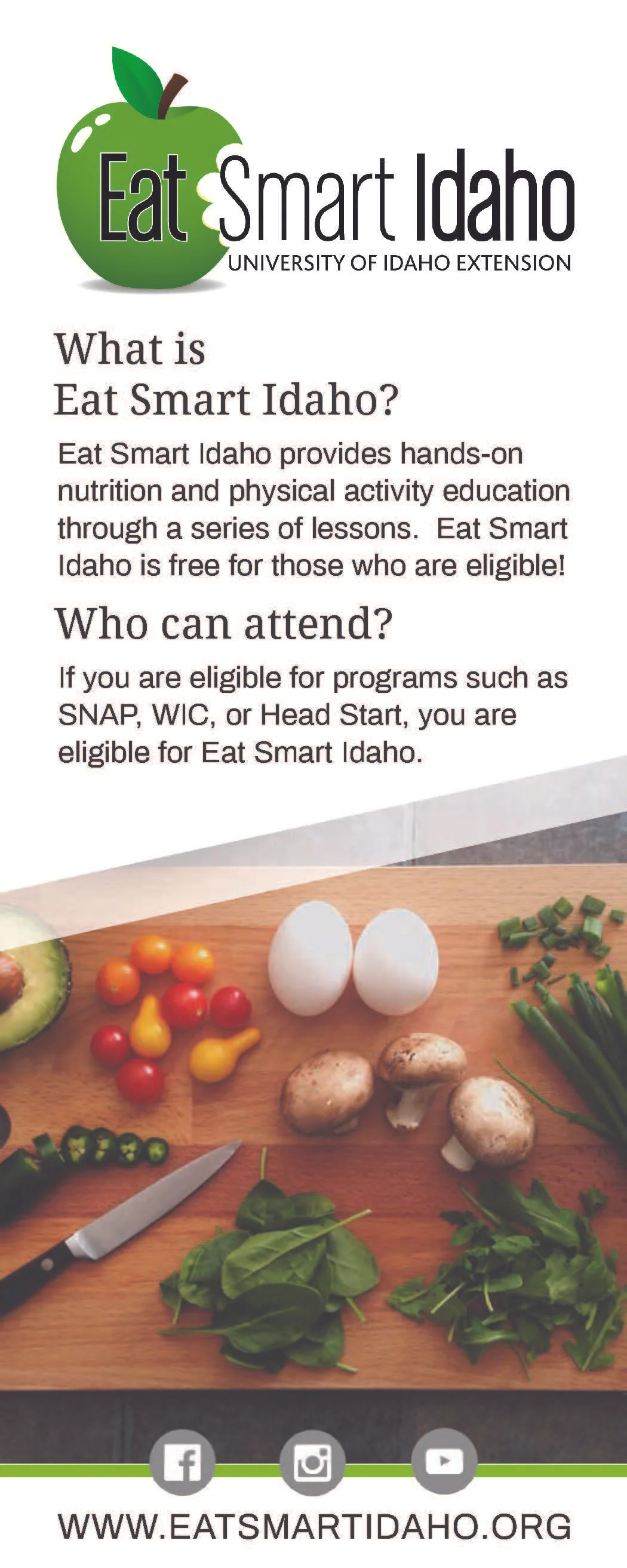 ESI_Brochure_FINAL_Page_1.jpg