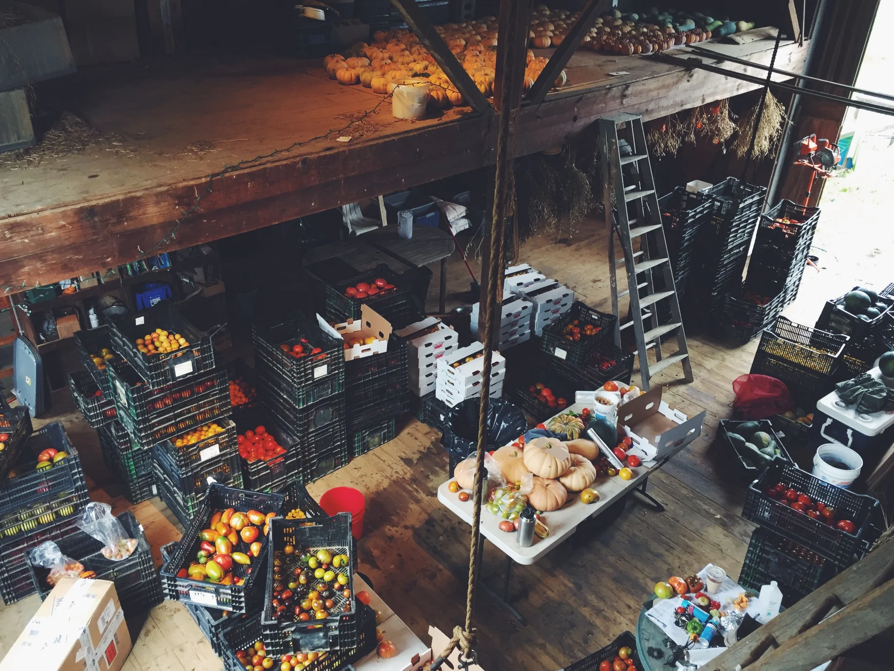 Processed with VSCO with f2 preset Processed with VSCO with f2 preset