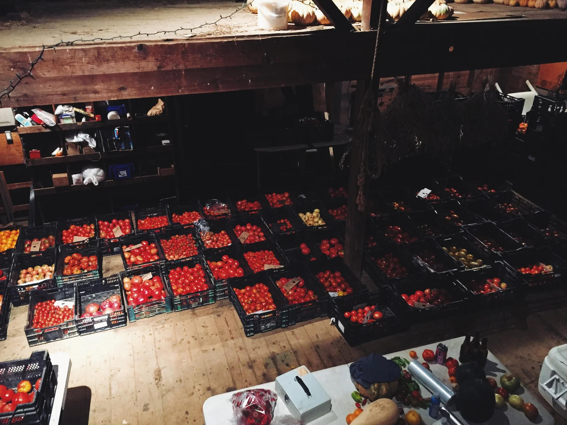 Processed with VSCO with lv01 preset Processed with VSCO with lv01 preset