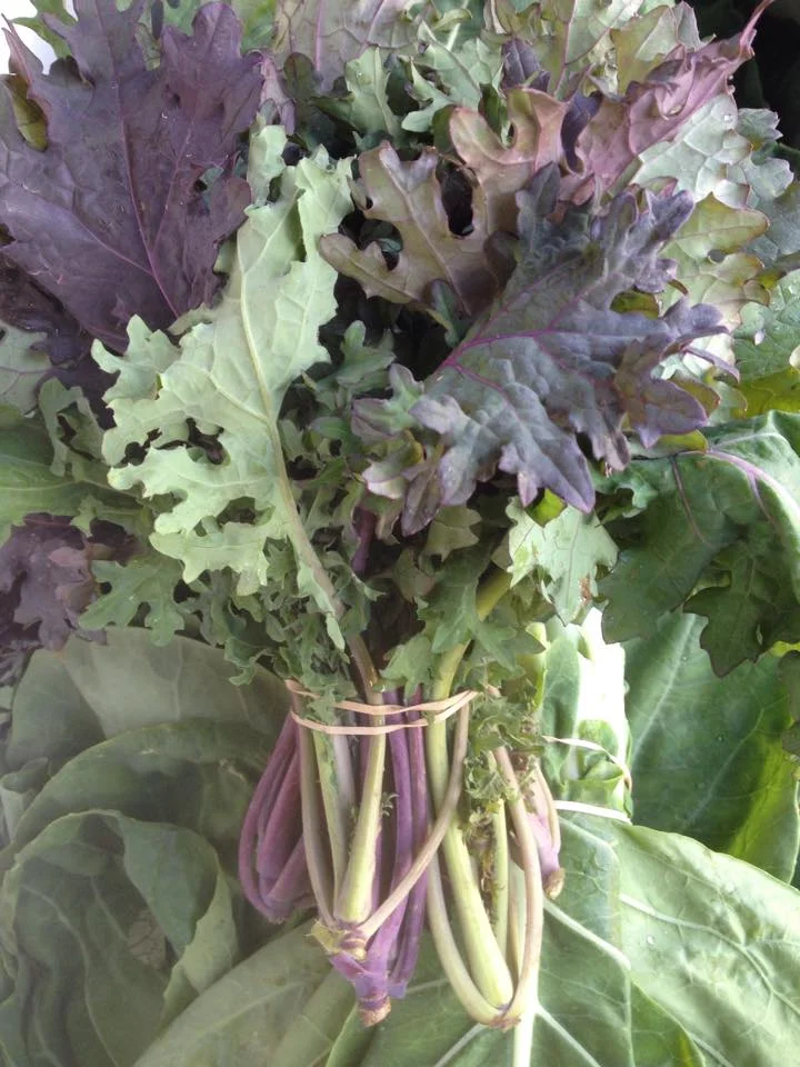 Tough Mother Kale