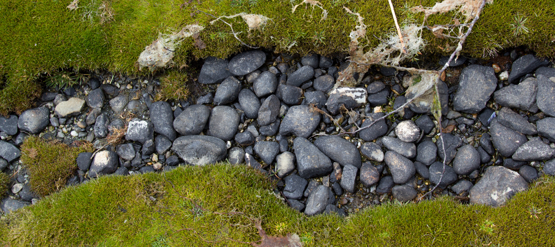 RockCreek_Web.jpg