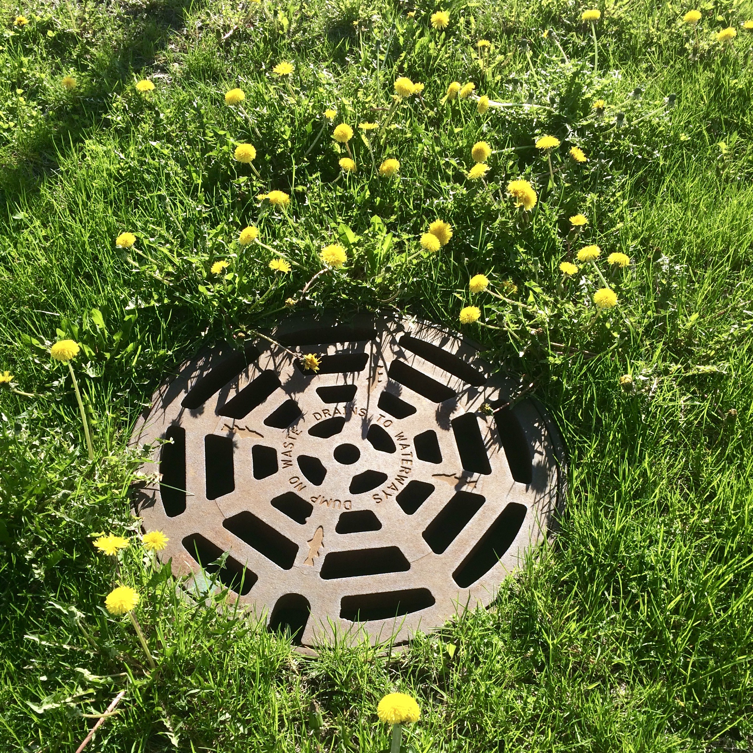 #KnowWhereItFlows #UndergroundSystems #DaylightOurWaterways