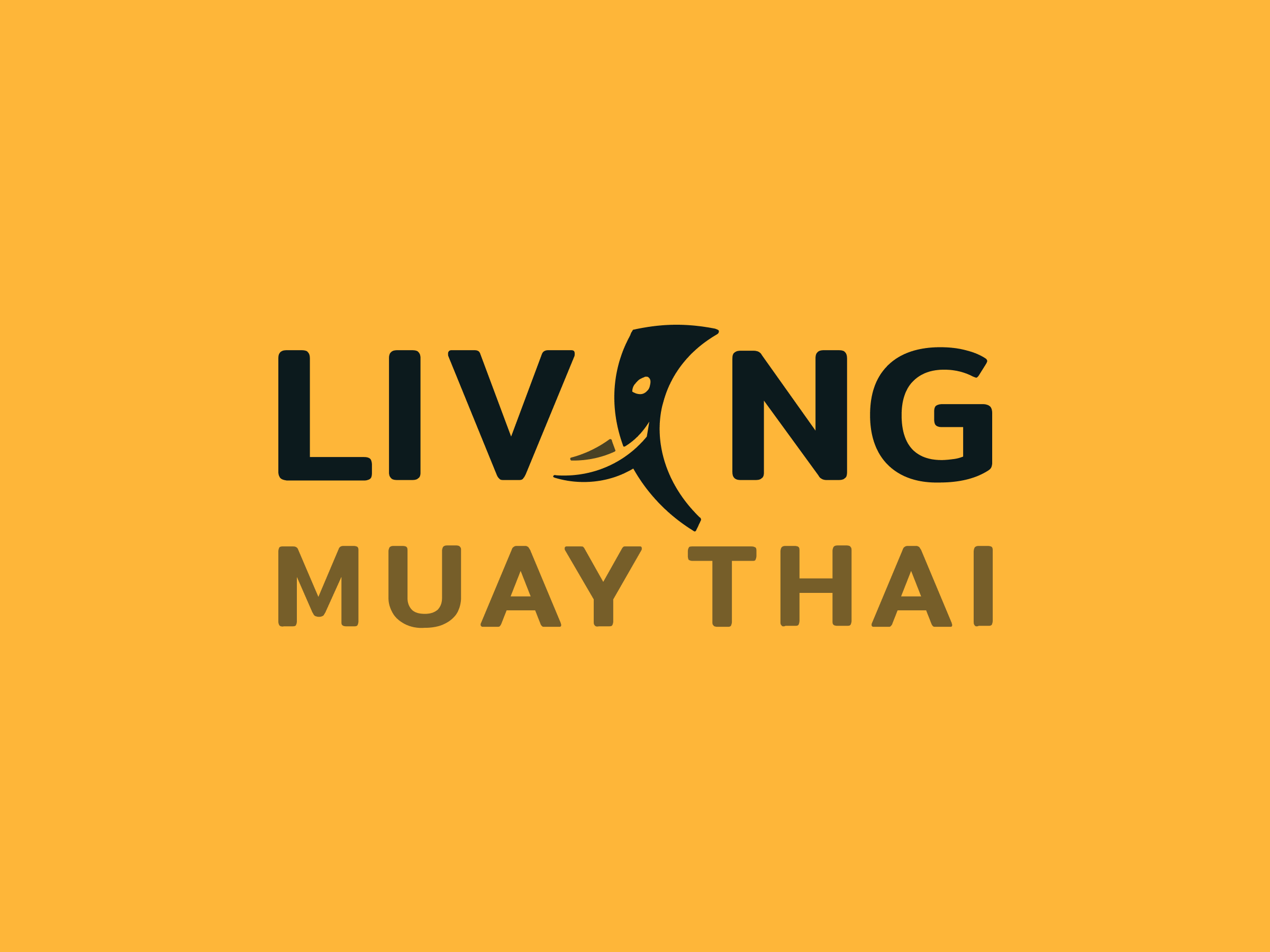 Living Muay Thai (Case Study)