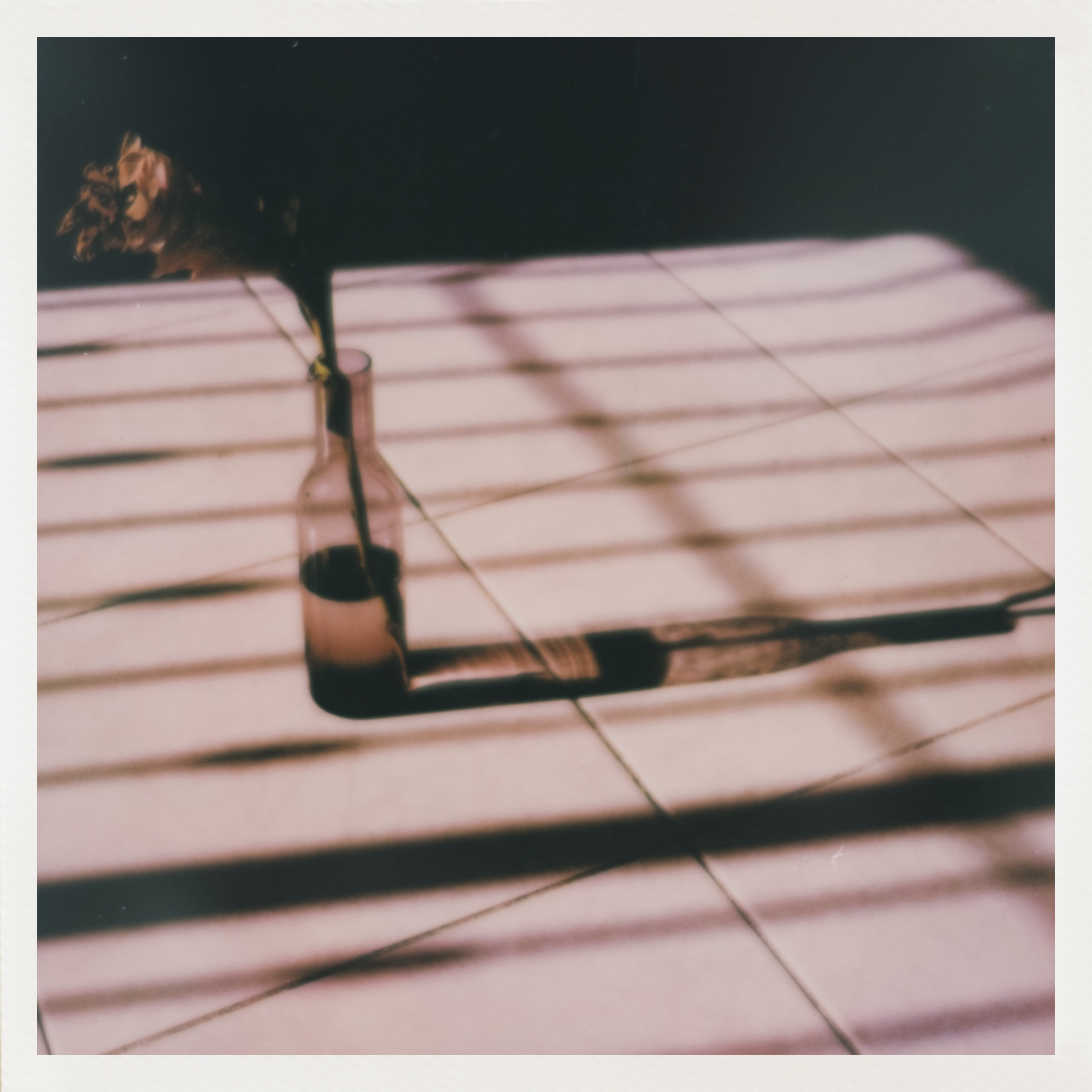 Polaroids_HP1.jpg
