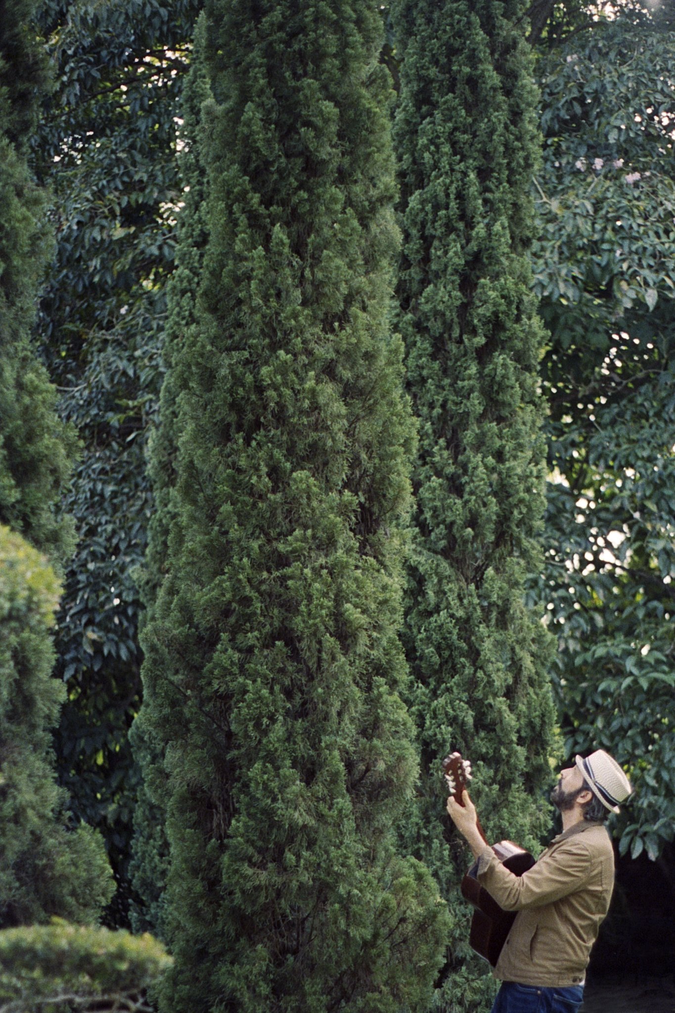 Image 26.jpg