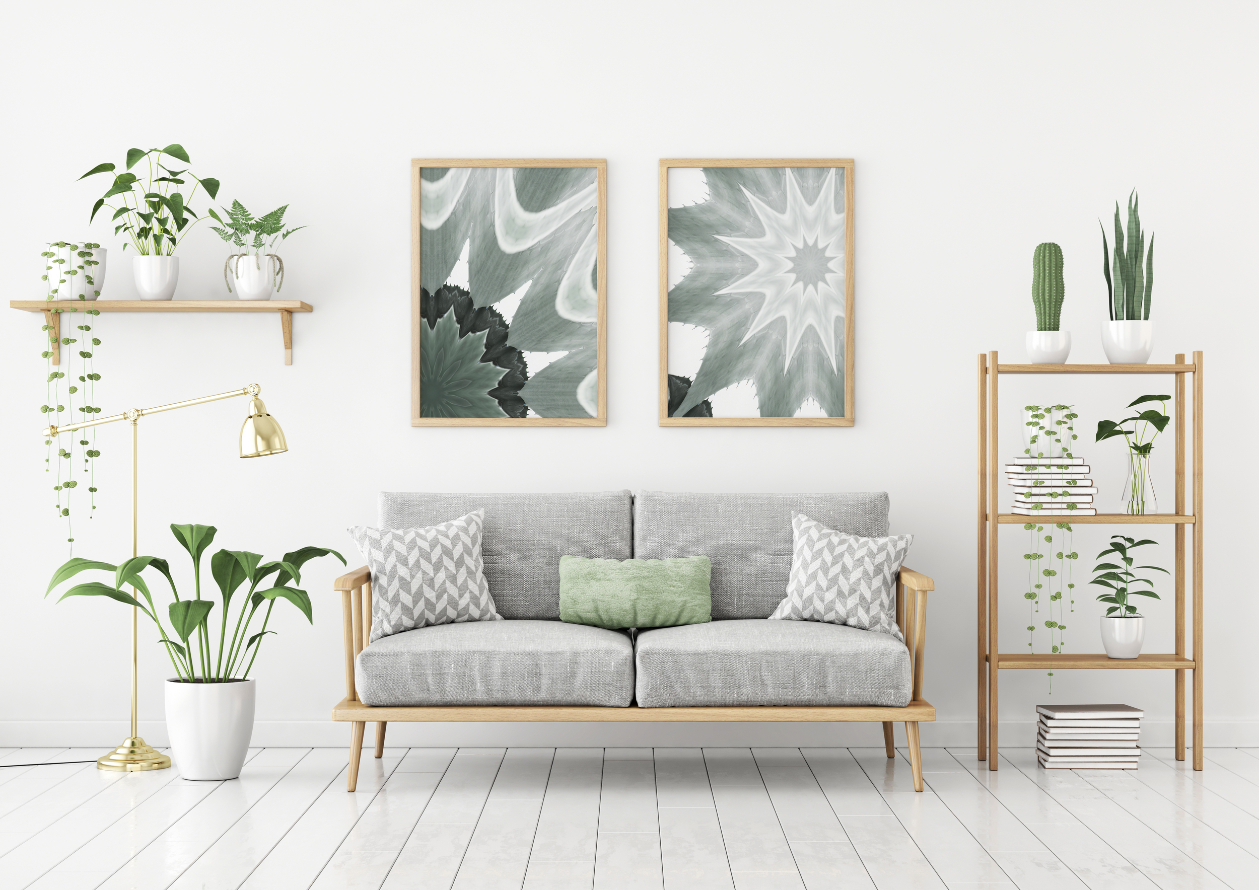 cactus one and two in frames.png