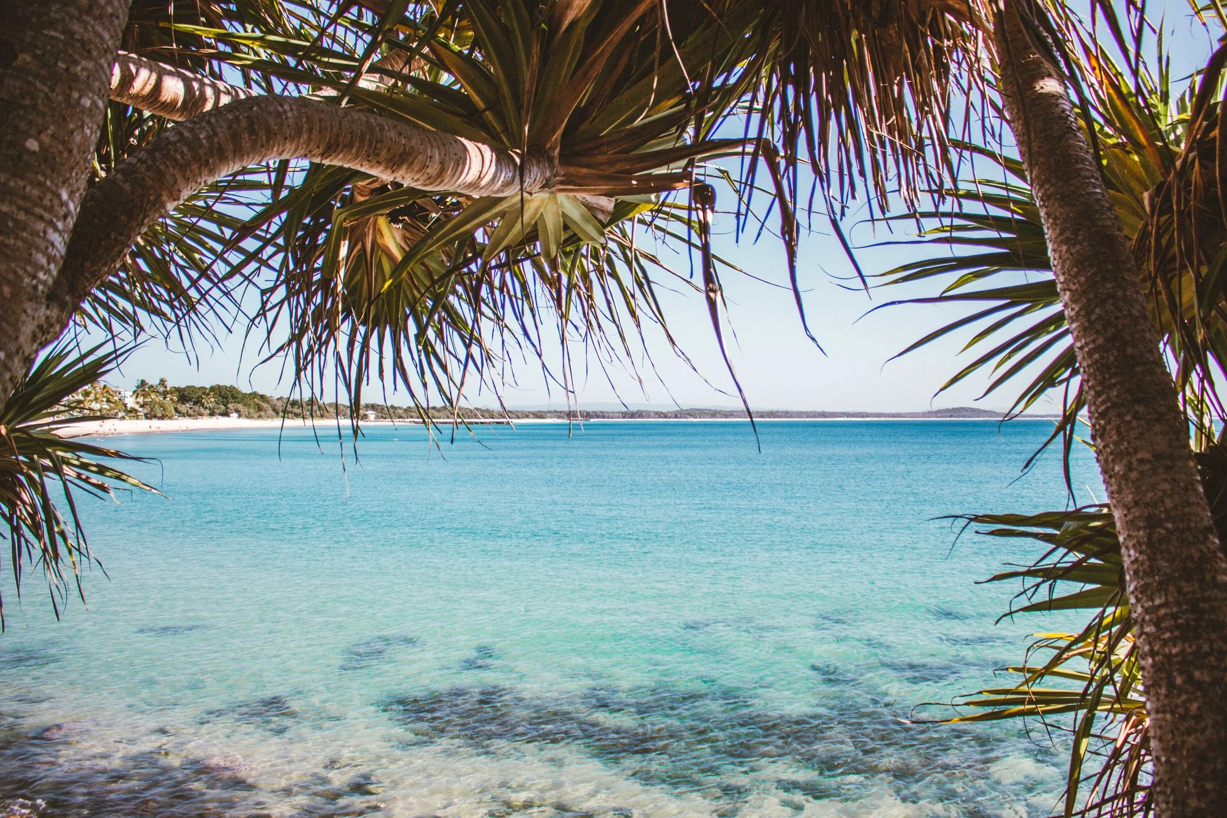 Berlee Photgraphy - Palm Framed Beach