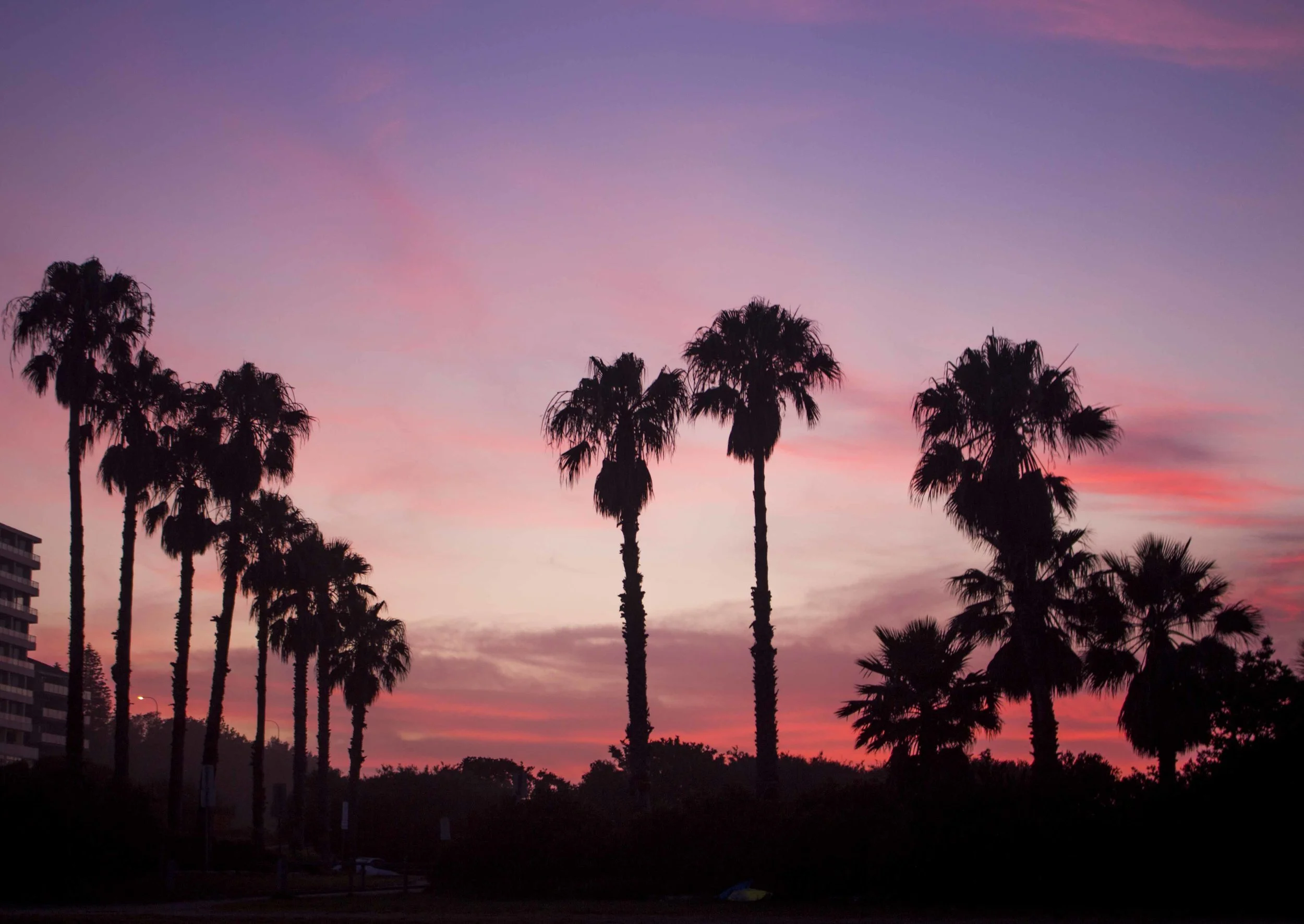 Berlee Photography - Neon Silhouette 