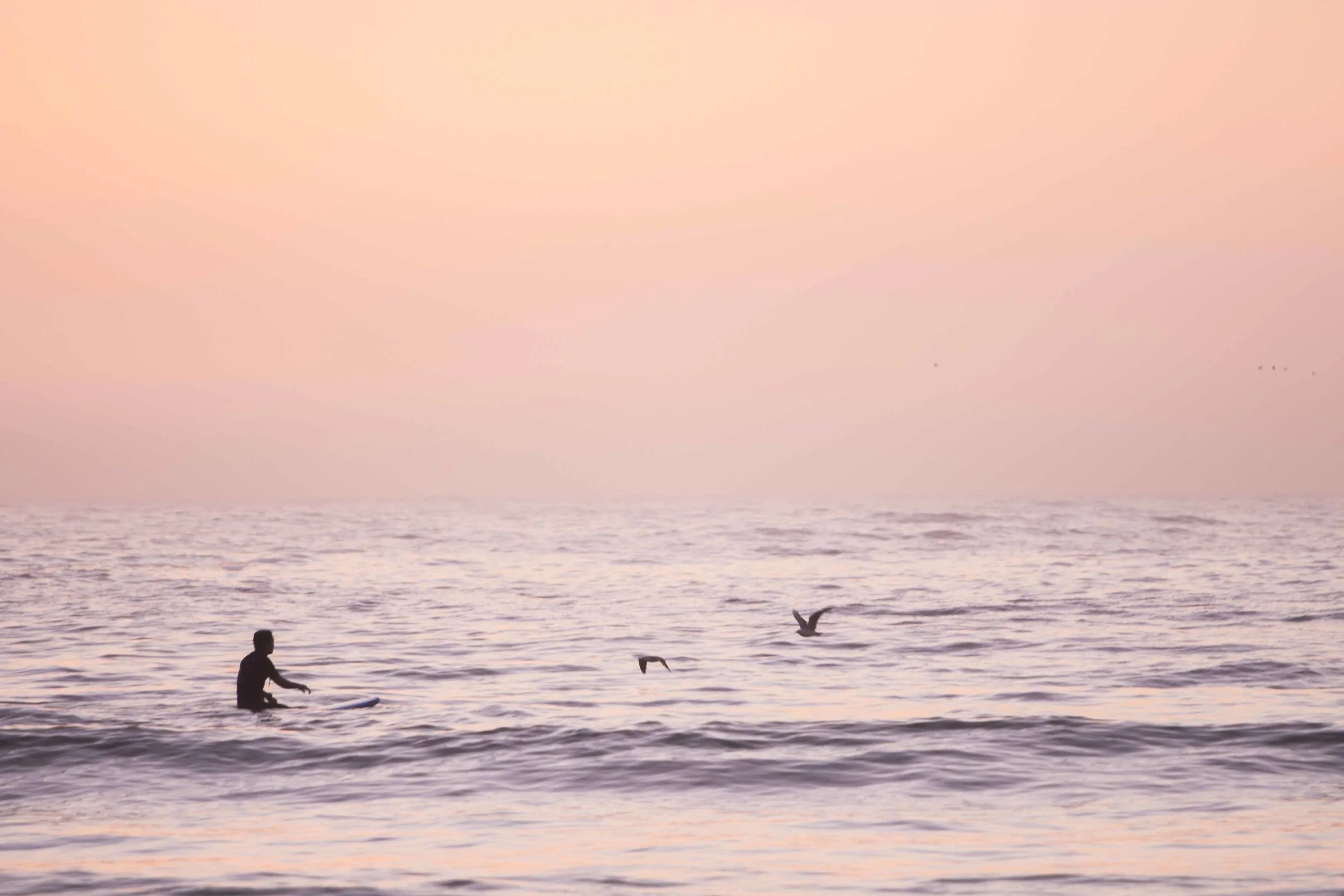 Berlee Photography - Tangerine Hue